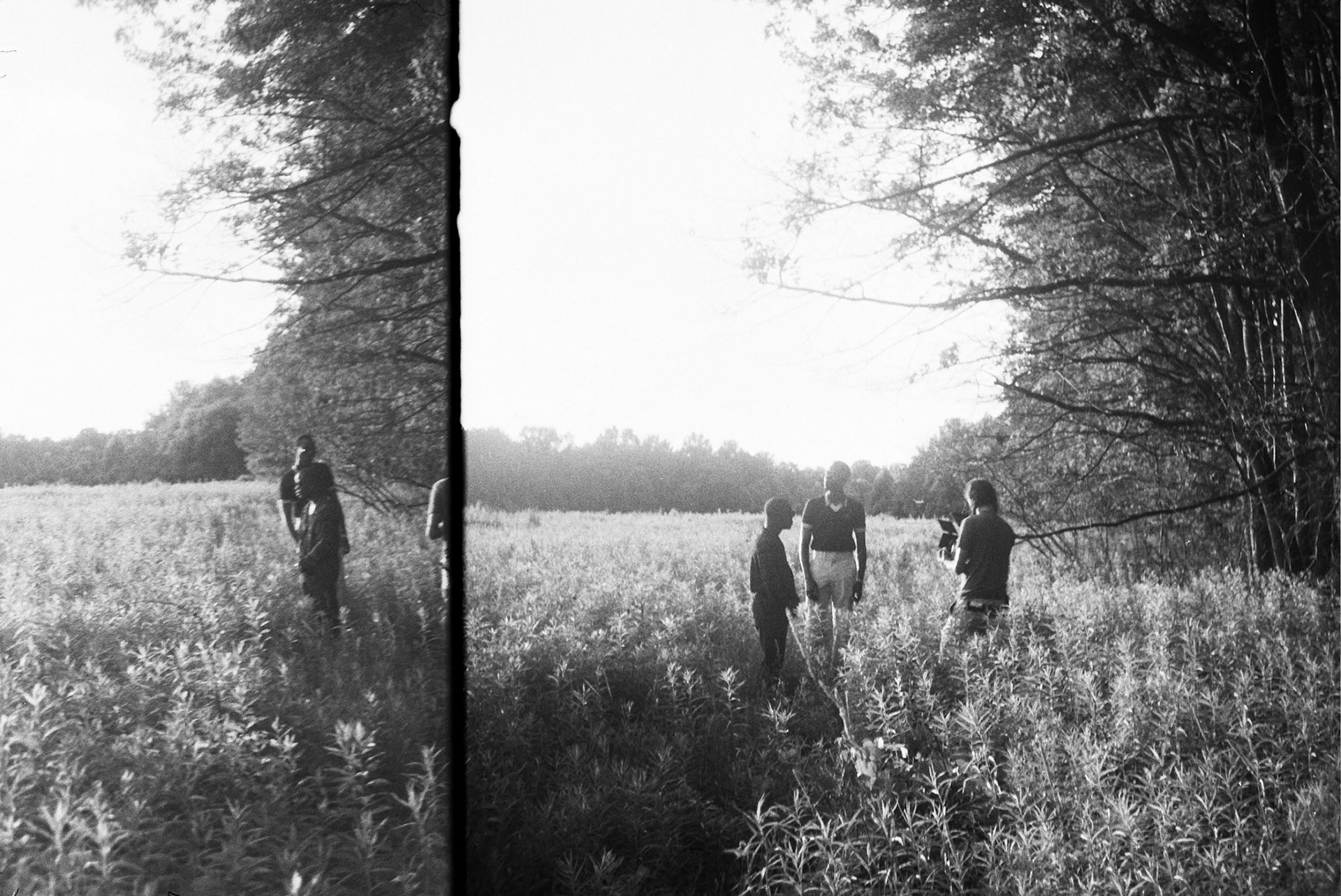 Autosave-File vom d-lab2/3 der AgfaPhoto GmbH