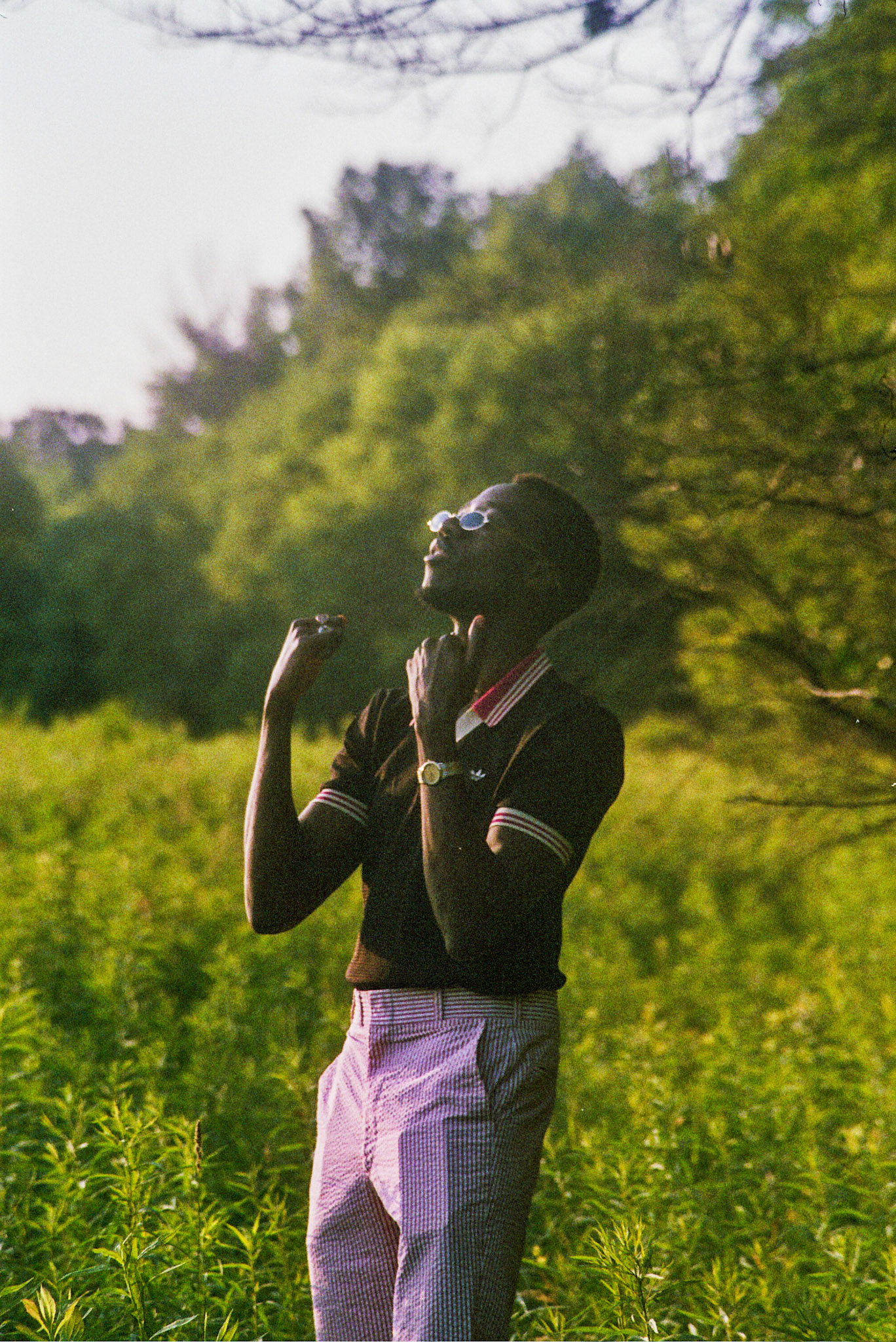 Autosave-File vom d-lab2/3 der AgfaPhoto GmbH