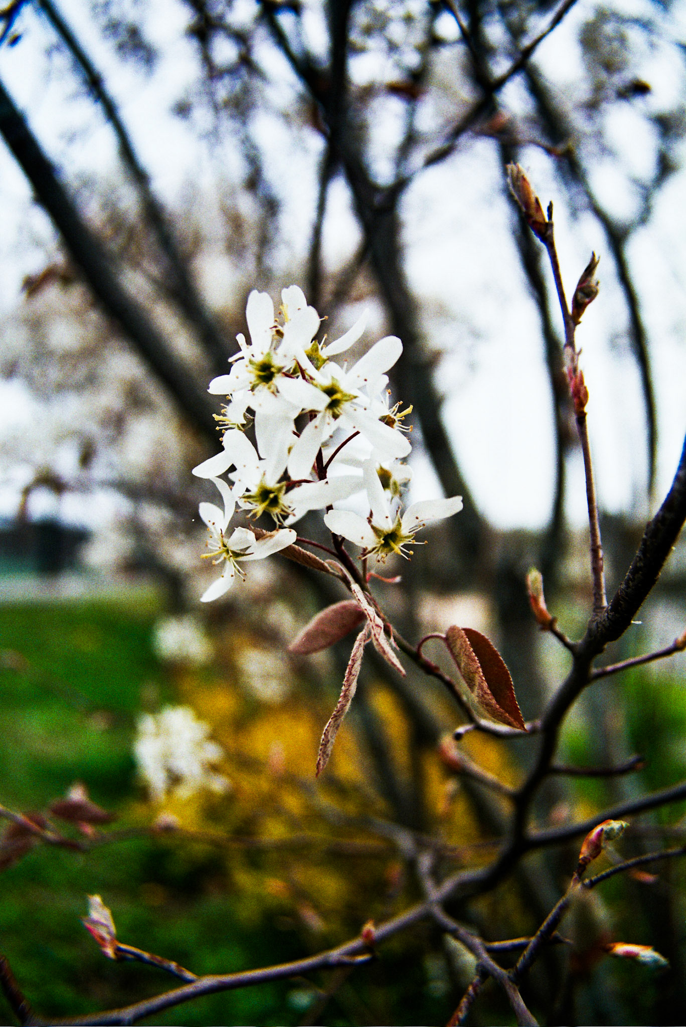 Autosave-File vom d-lab2/3 der AgfaPhoto GmbH