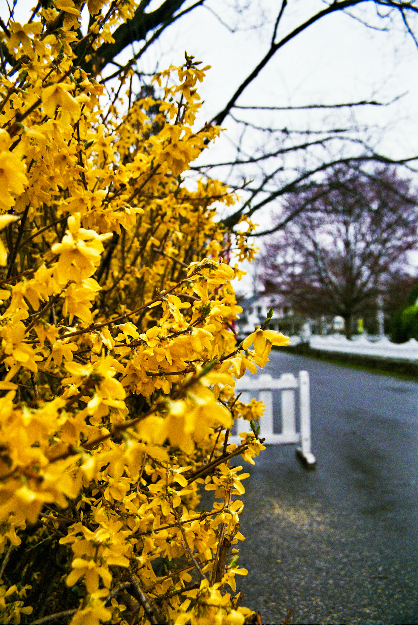 Autosave-File vom d-lab2/3 der AgfaPhoto GmbH