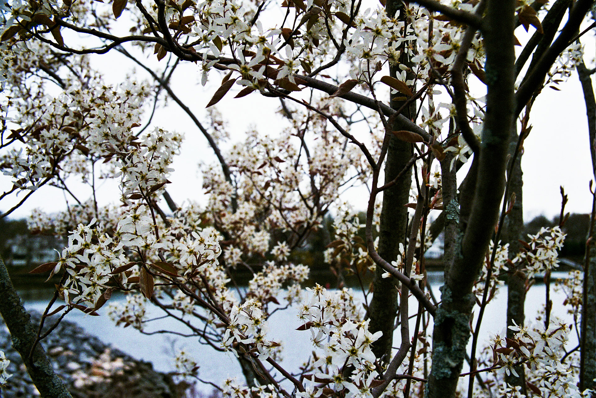 Autosave-File vom d-lab2/3 der AgfaPhoto GmbH