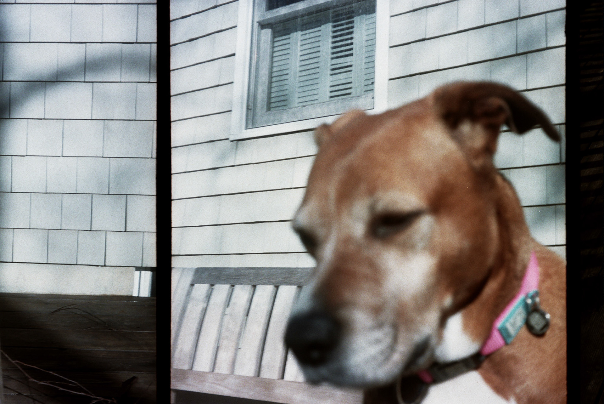 Autosave-File vom d-lab2/3 der AgfaPhoto GmbH