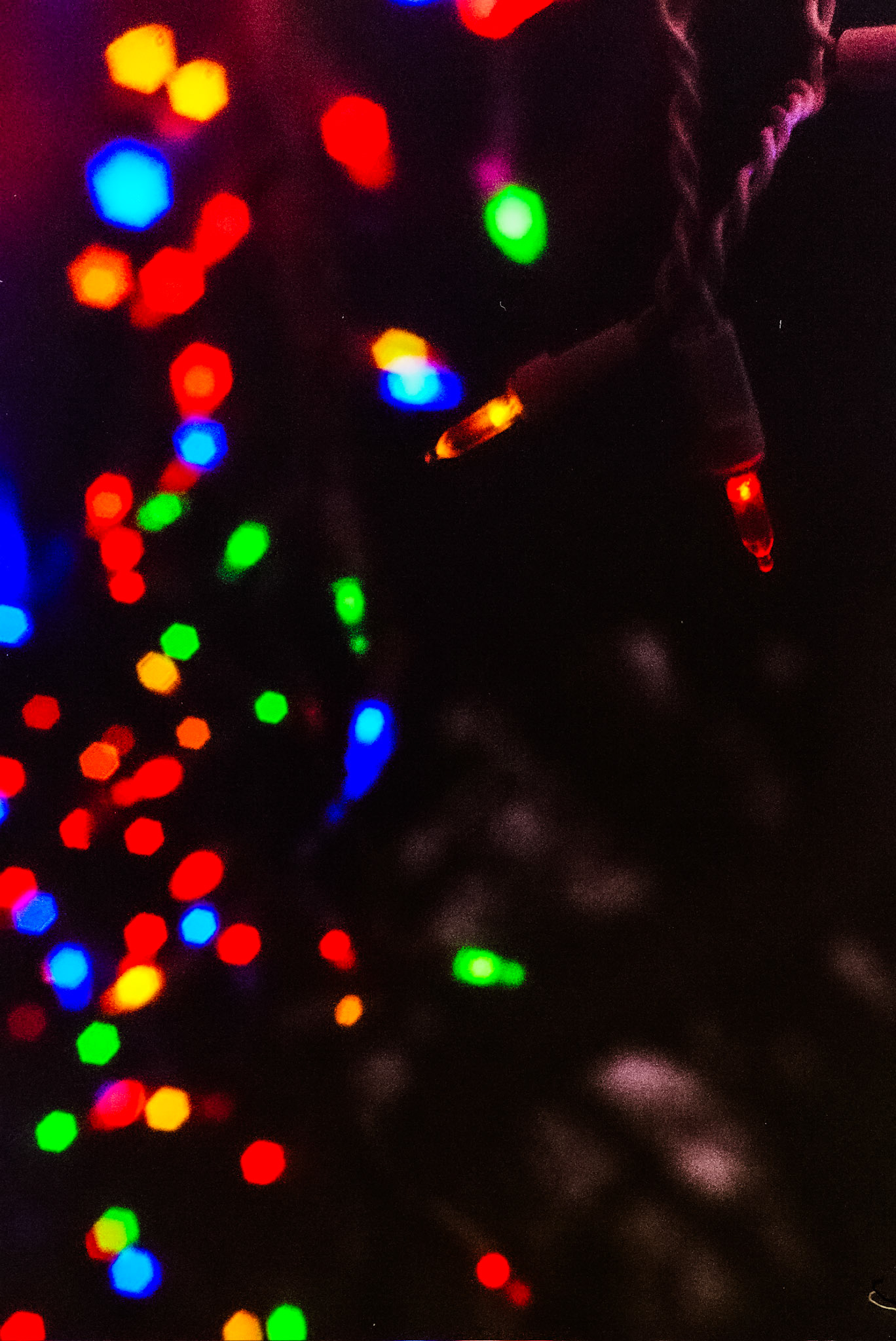 Autosave-File vom d-lab2/3 der AgfaPhoto GmbH