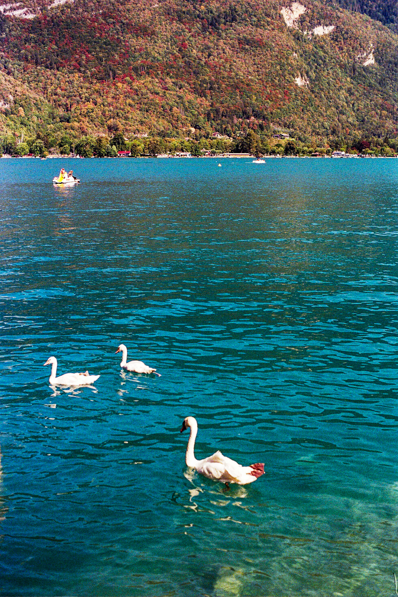 Autosave-File vom d-lab2/3 der AgfaPhoto GmbH