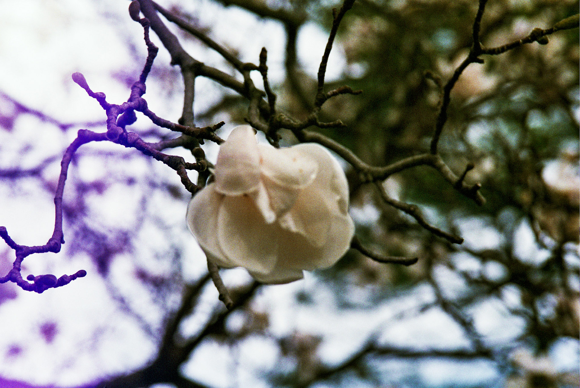 Autosave-File vom d-lab2/3 der AgfaPhoto GmbH