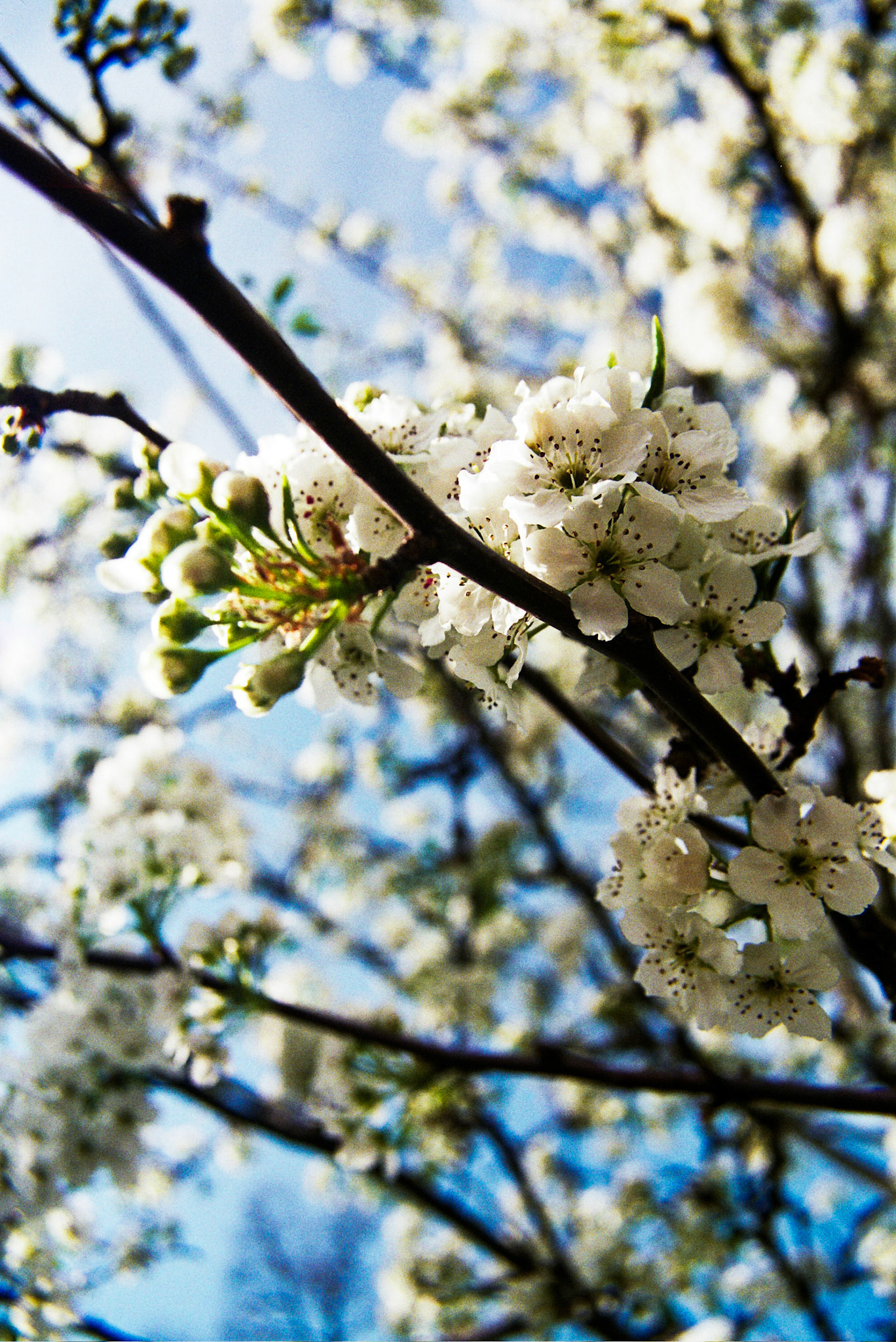 Autosave-File vom d-lab2/3 der AgfaPhoto GmbH