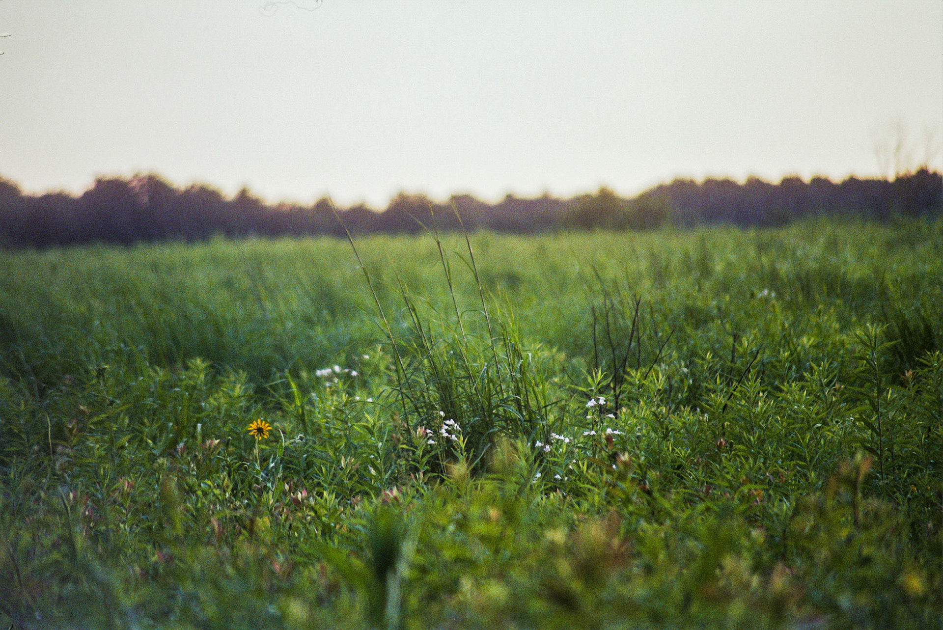 Autosave-File vom d-lab2/3 der AgfaPhoto GmbH