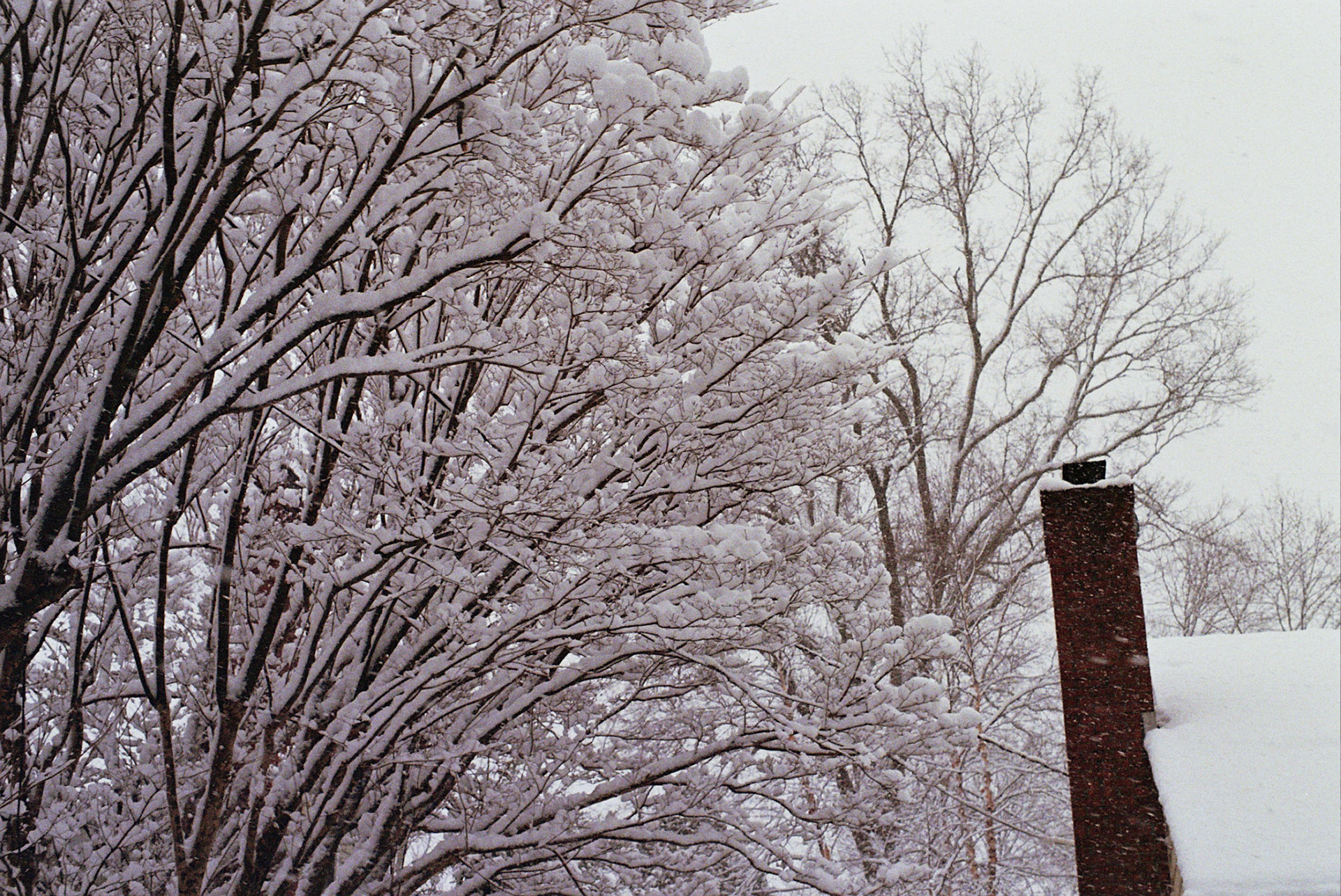 Autosave-File vom d-lab2/3 der AgfaPhoto GmbH