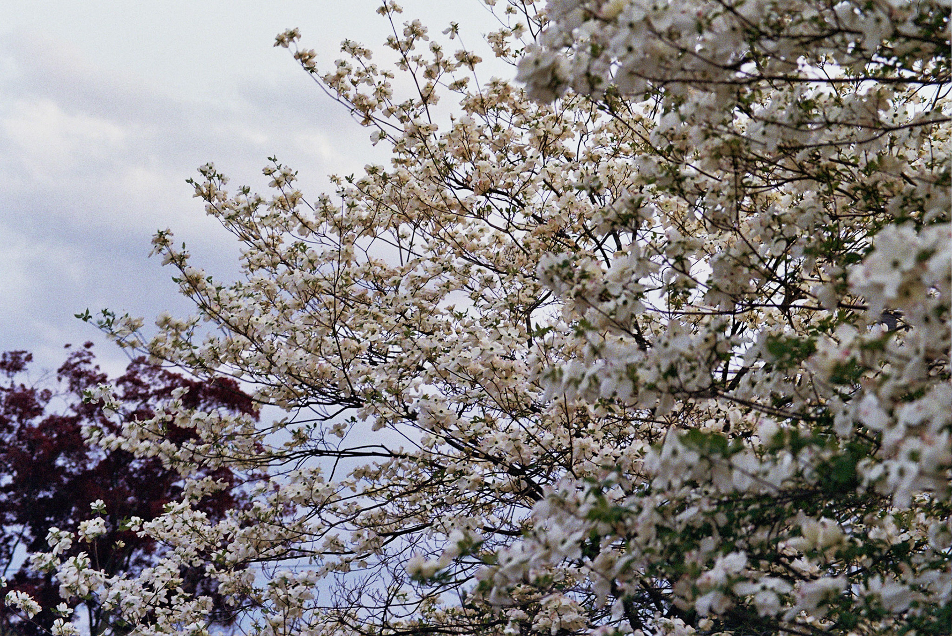 Autosave-File vom d-lab2/3 der AgfaPhoto GmbH