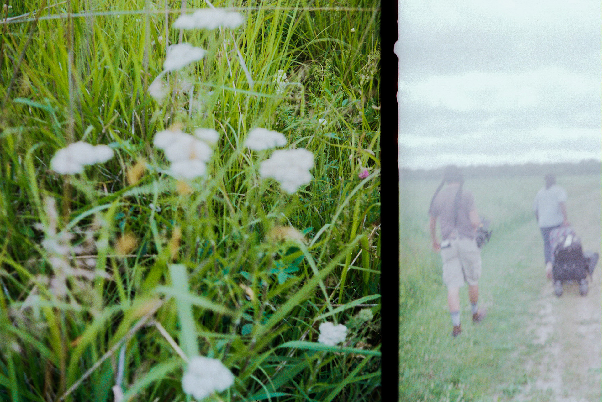 Autosave-File vom d-lab2/3 der AgfaPhoto GmbH