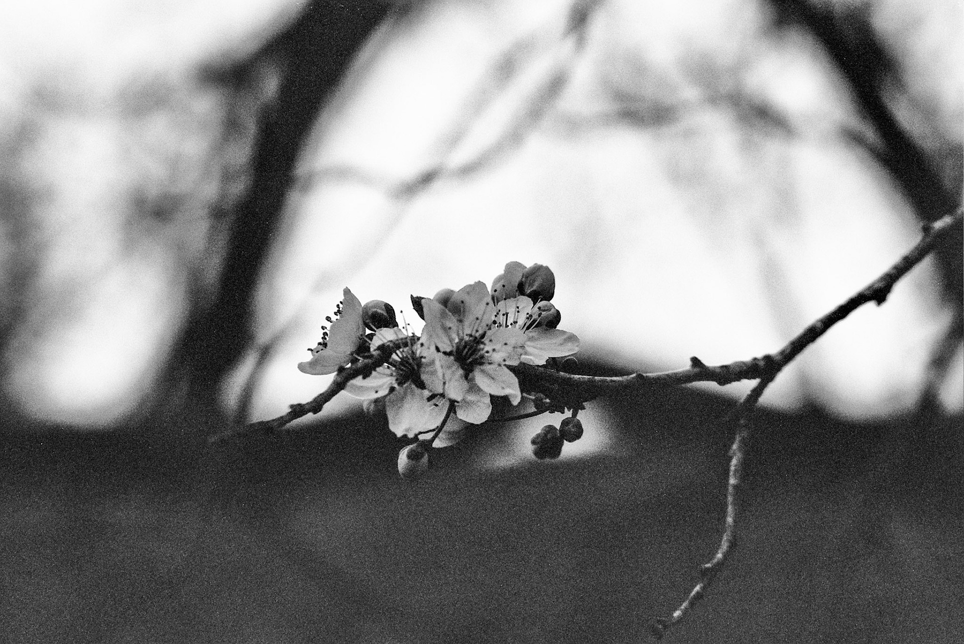 Autosave-File vom d-lab2/3 der AgfaPhoto GmbH