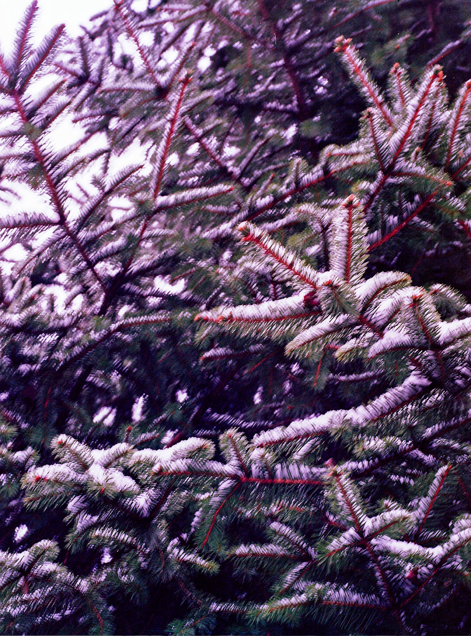 Autosave-File vom d-lab2/3 der AgfaPhoto GmbH