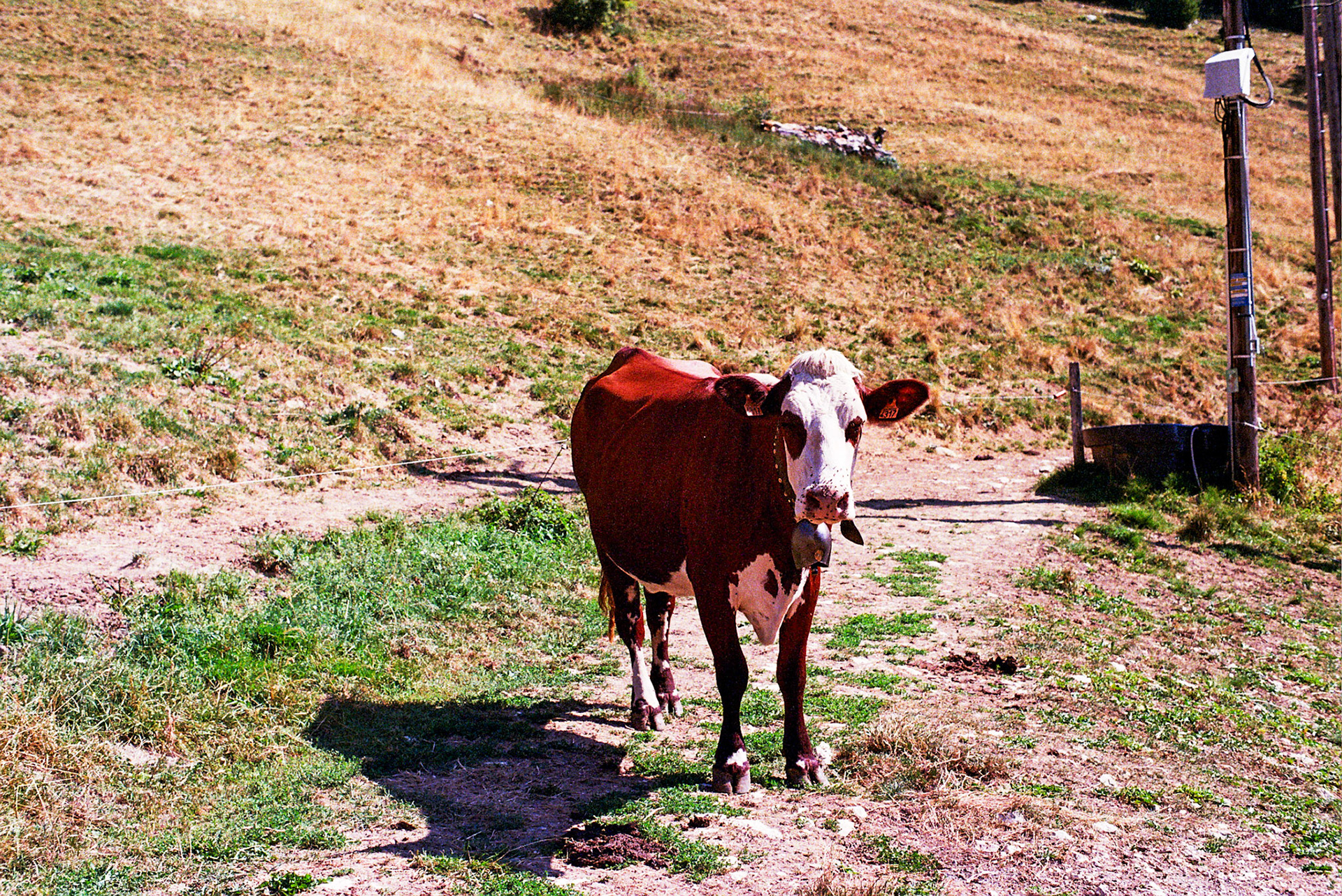 Autosave-File vom d-lab2/3 der AgfaPhoto GmbH