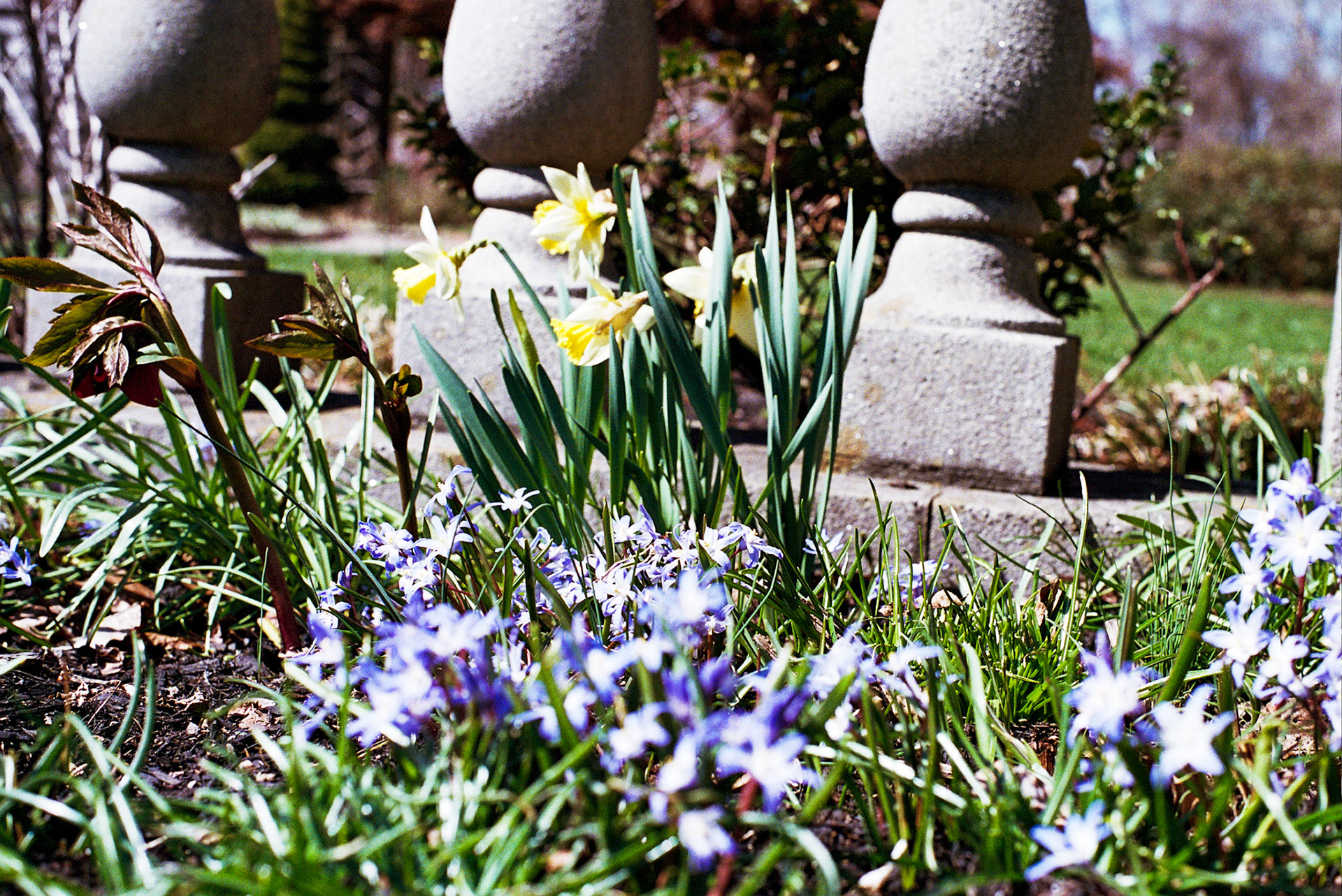 Autosave-File vom d-lab2/3 der AgfaPhoto GmbH