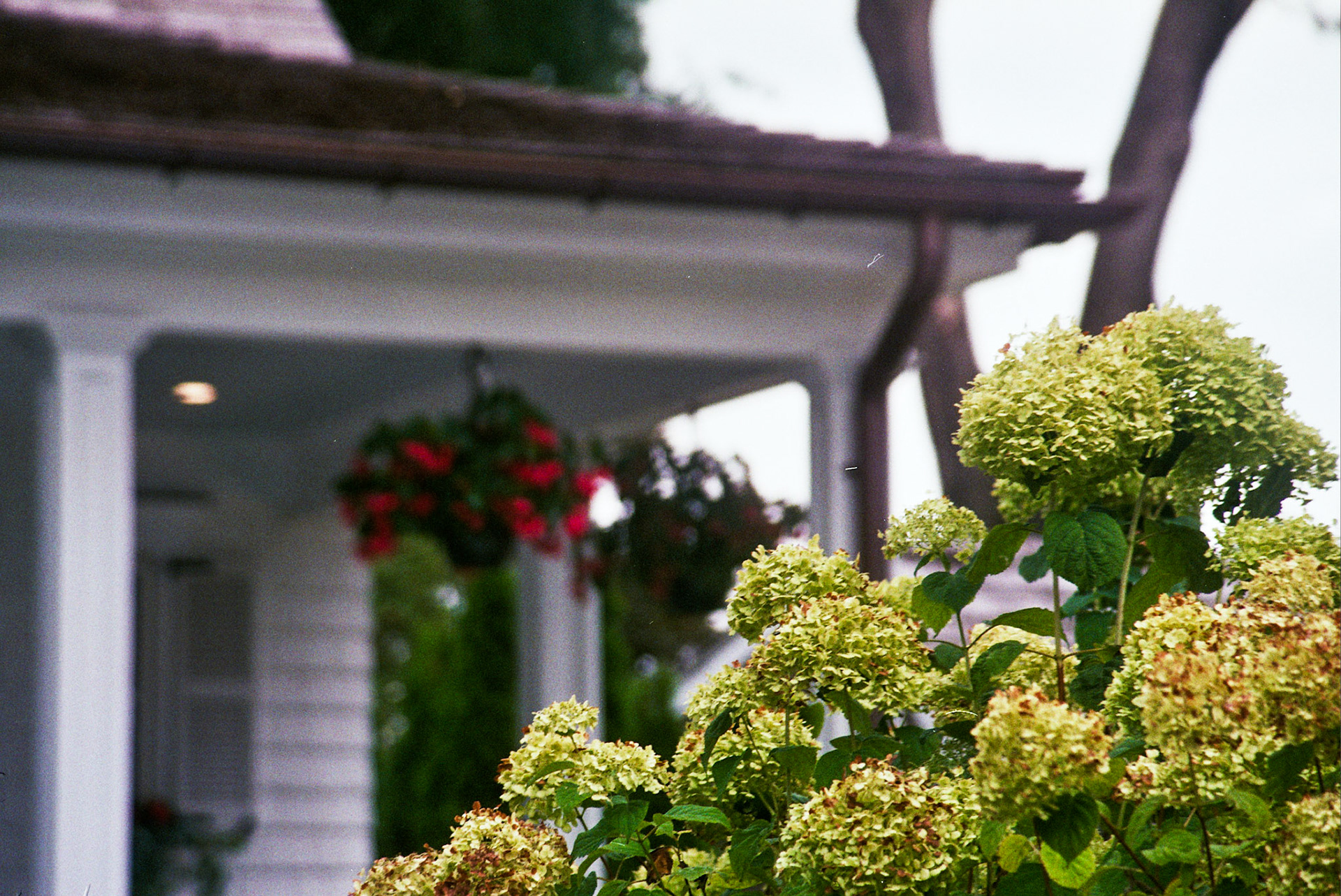 Autosave-File vom d-lab2/3 der AgfaPhoto GmbH