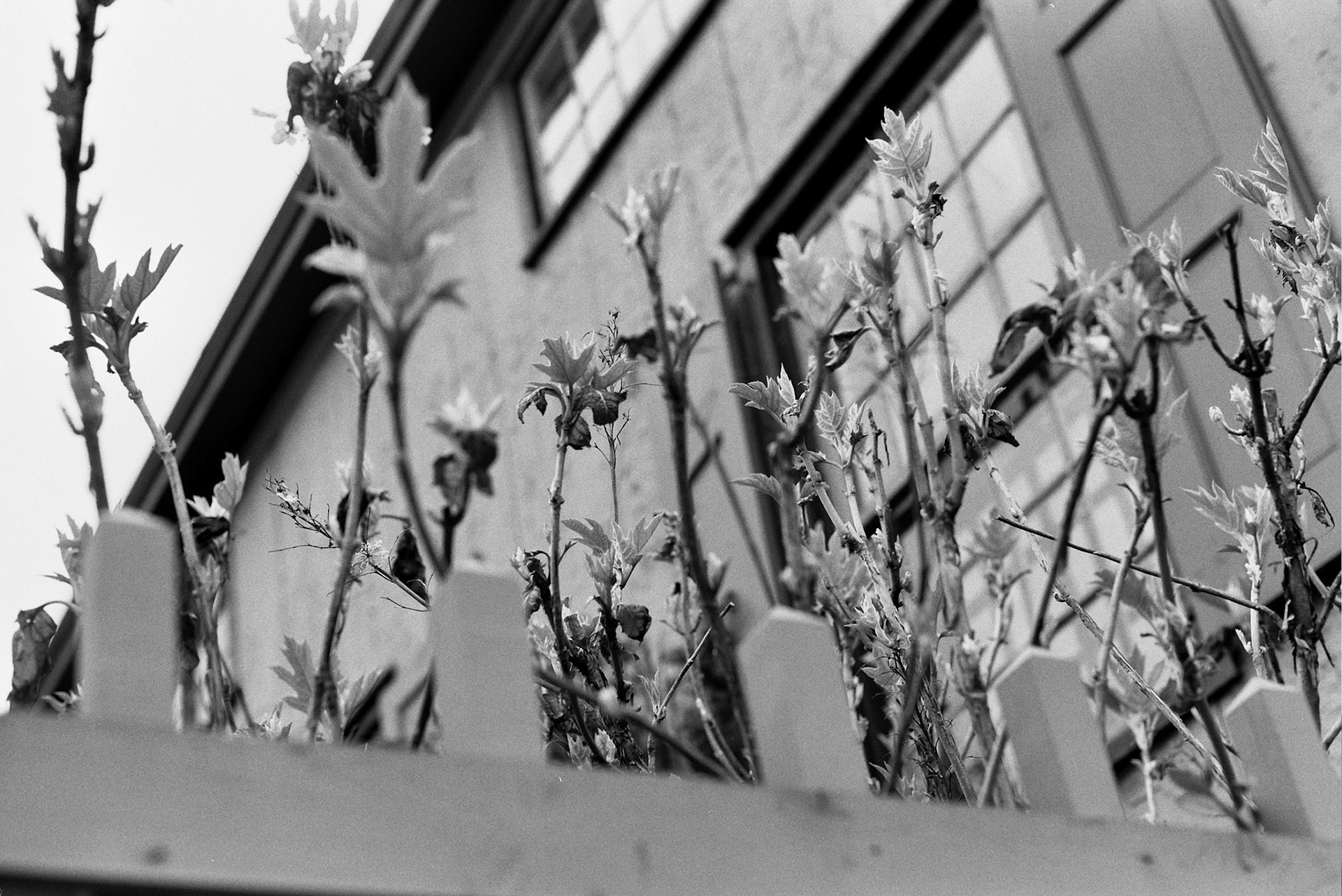 Autosave-File vom d-lab2/3 der AgfaPhoto GmbH