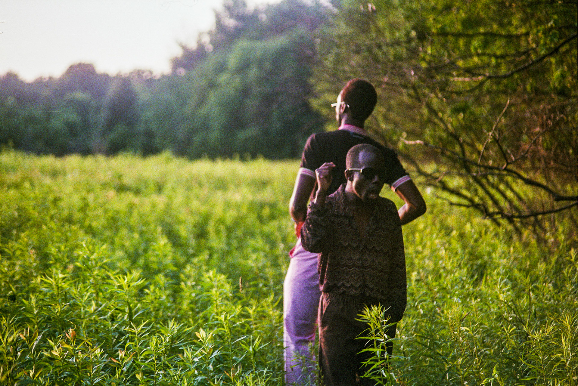 Autosave-File vom d-lab2/3 der AgfaPhoto GmbH