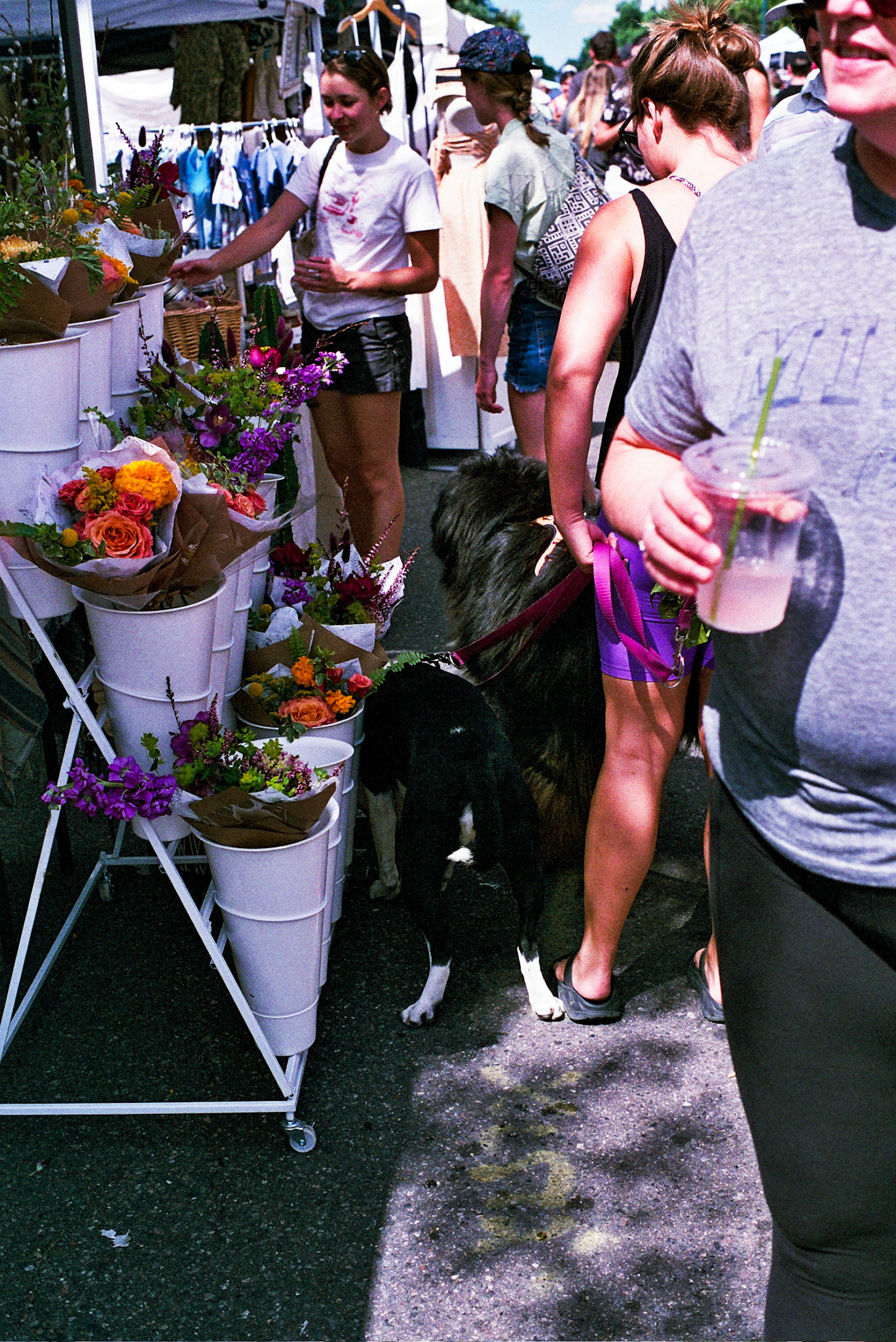 Autosave-File vom d-lab2/3 der AgfaPhoto GmbH