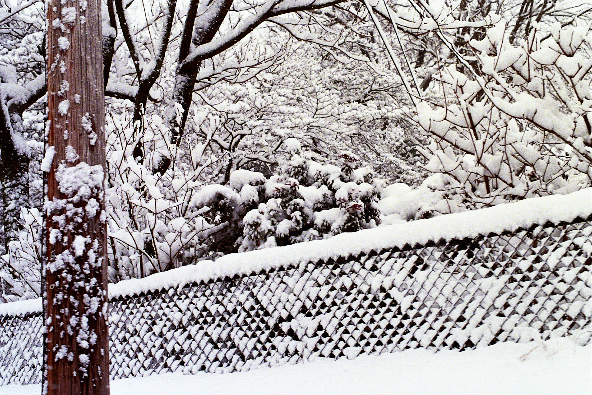 Autosave-File vom d-lab2/3 der AgfaPhoto GmbH