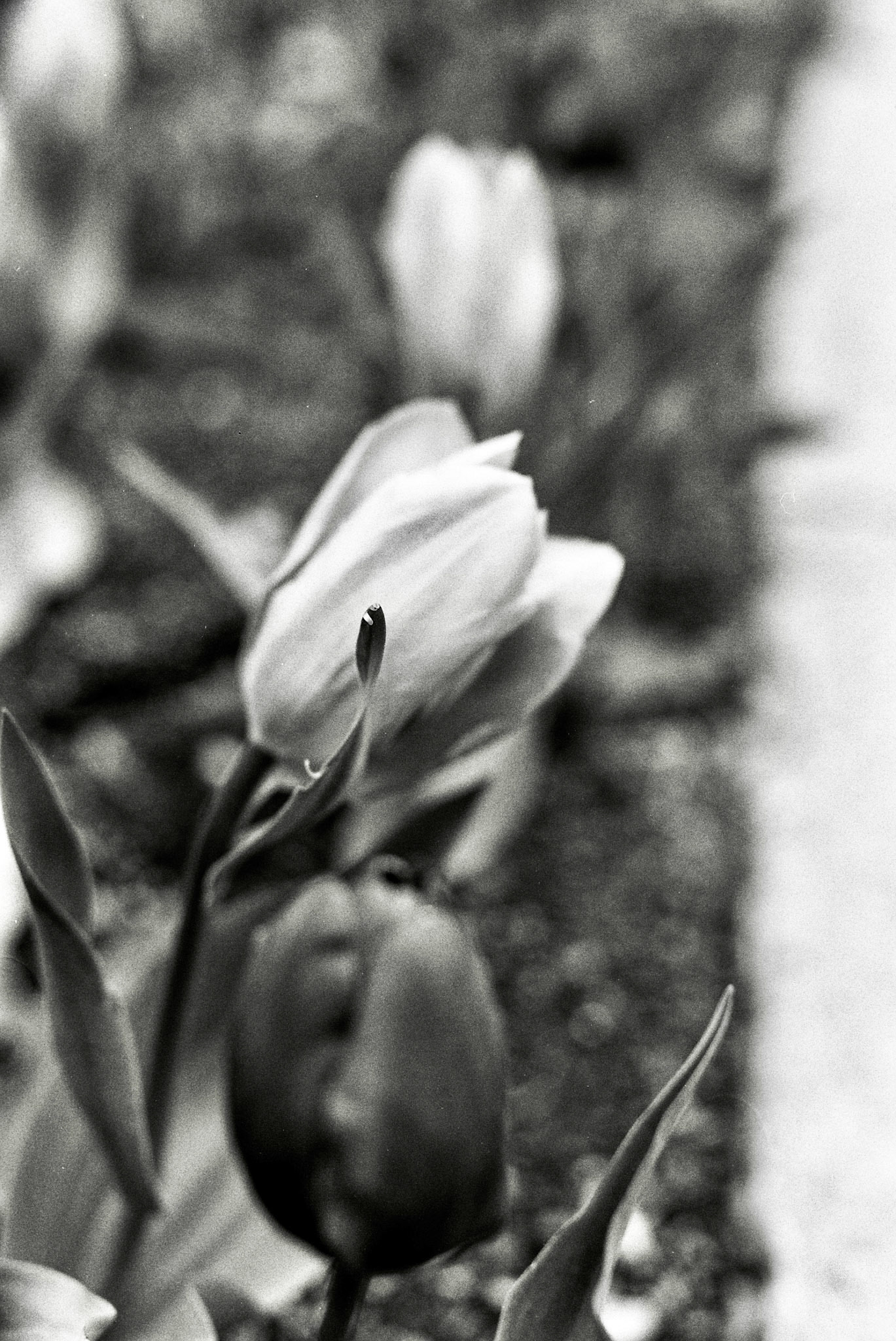 Autosave-File vom d-lab2/3 der AgfaPhoto GmbH