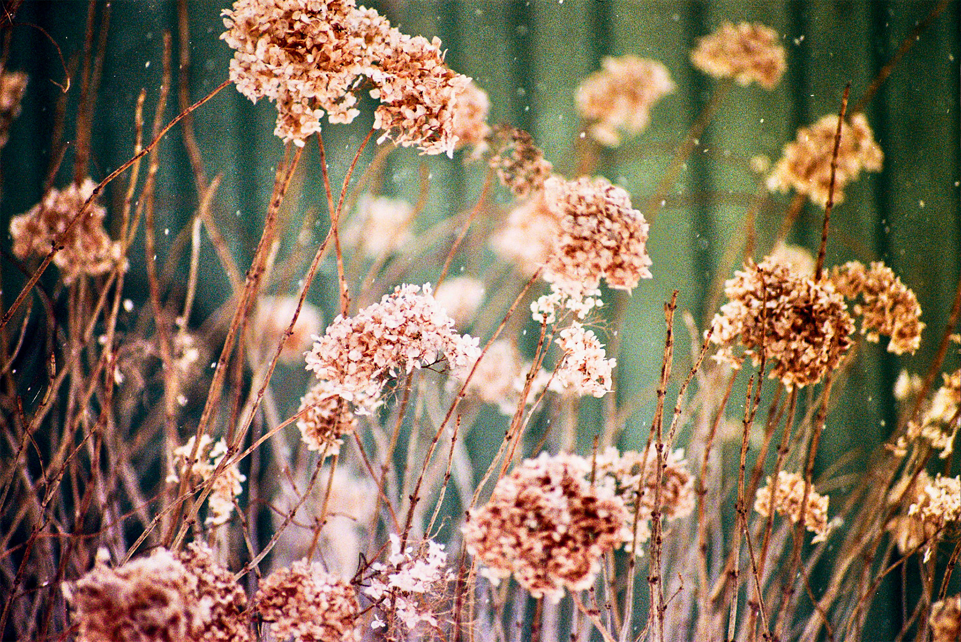 Autosave-File vom d-lab2/3 der AgfaPhoto GmbH