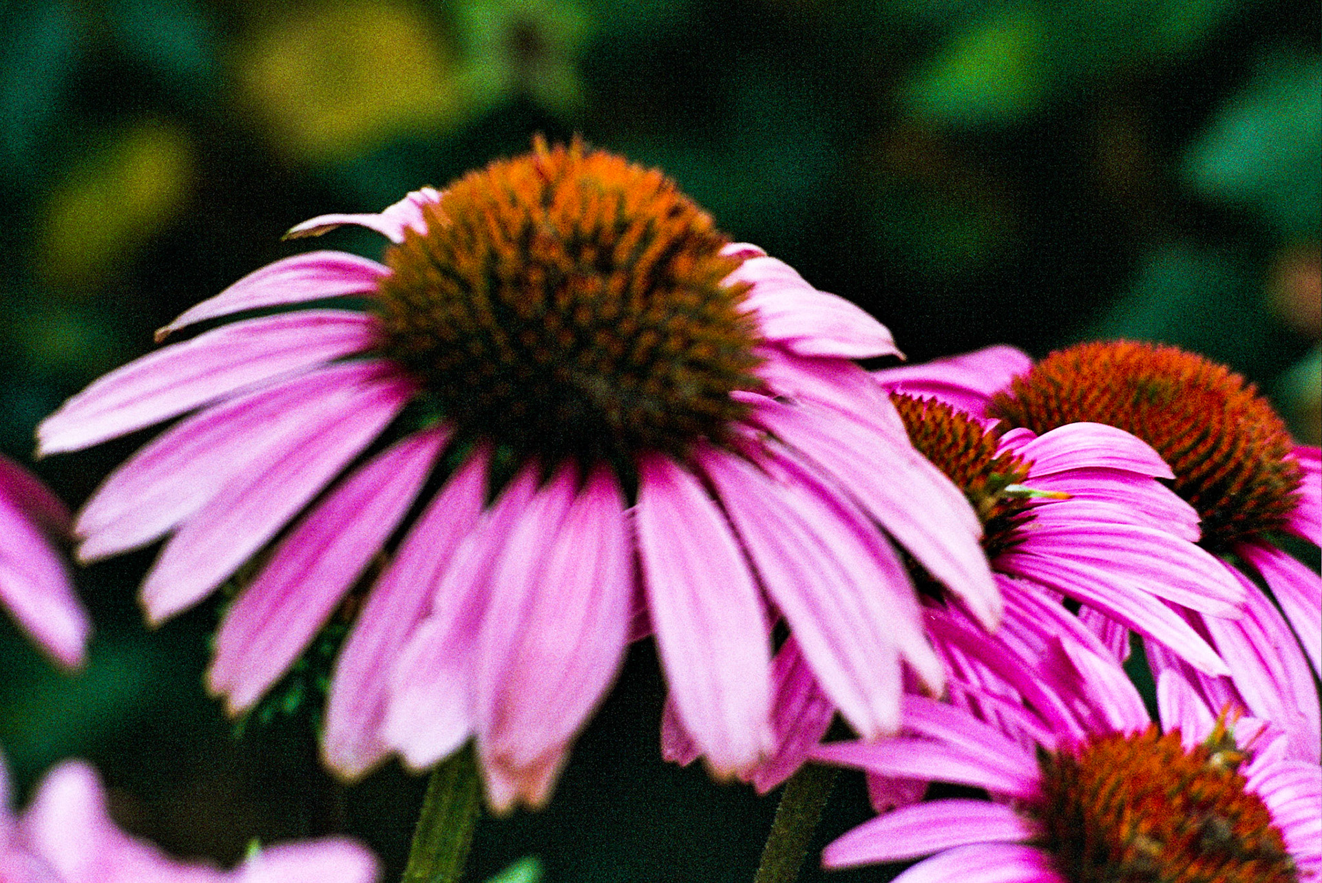 Autosave-File vom d-lab2/3 der AgfaPhoto GmbH