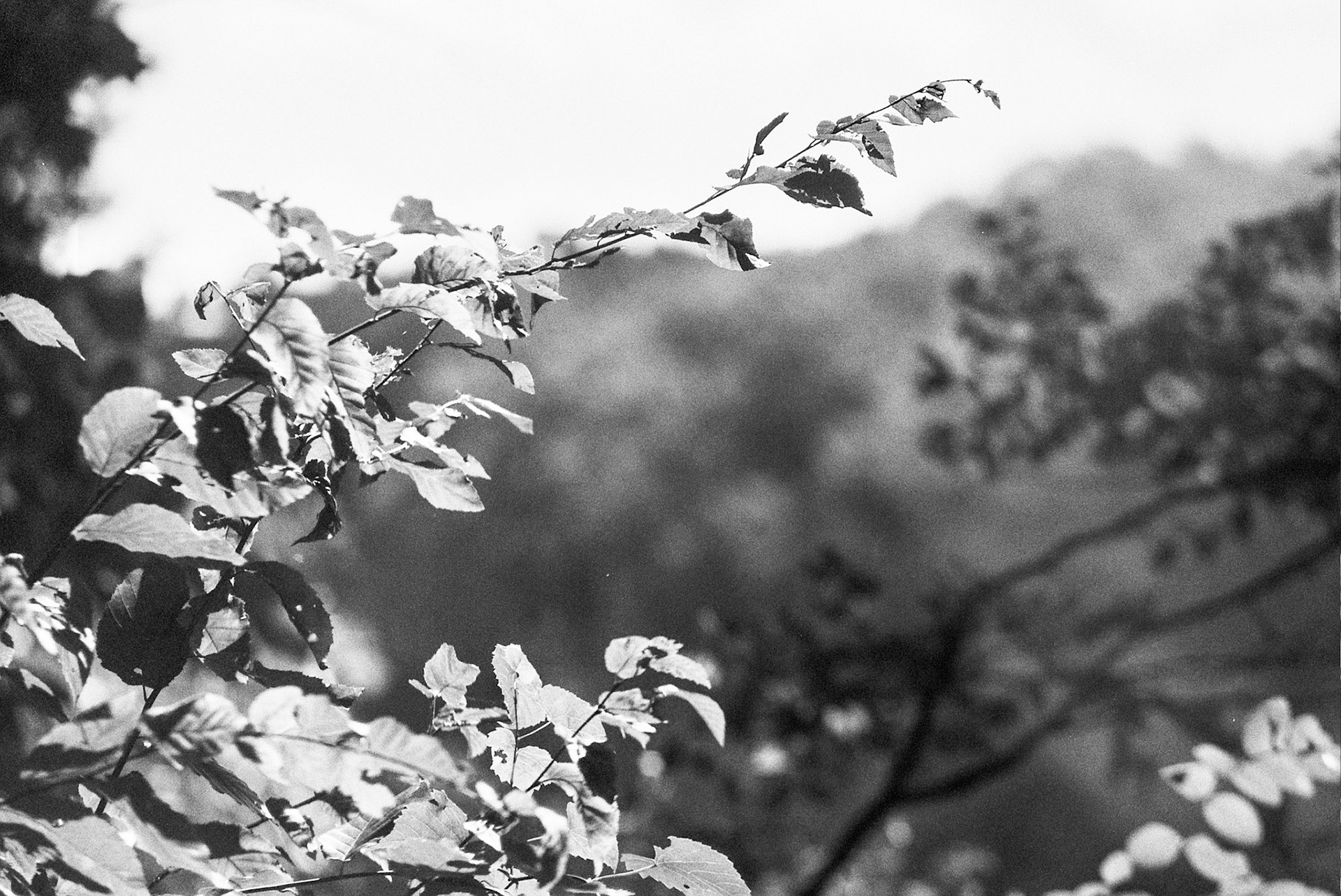 Autosave-File vom d-lab2/3 der AgfaPhoto GmbH