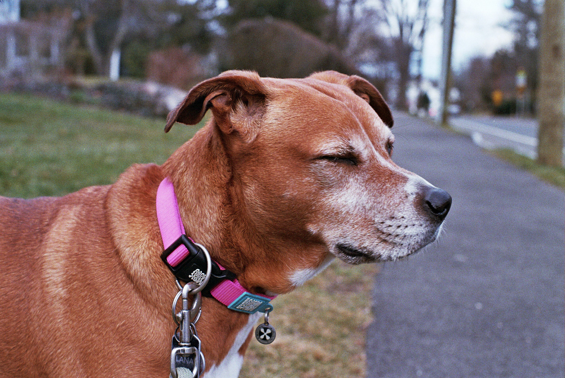 Autosave-File vom d-lab2/3 der AgfaPhoto GmbH