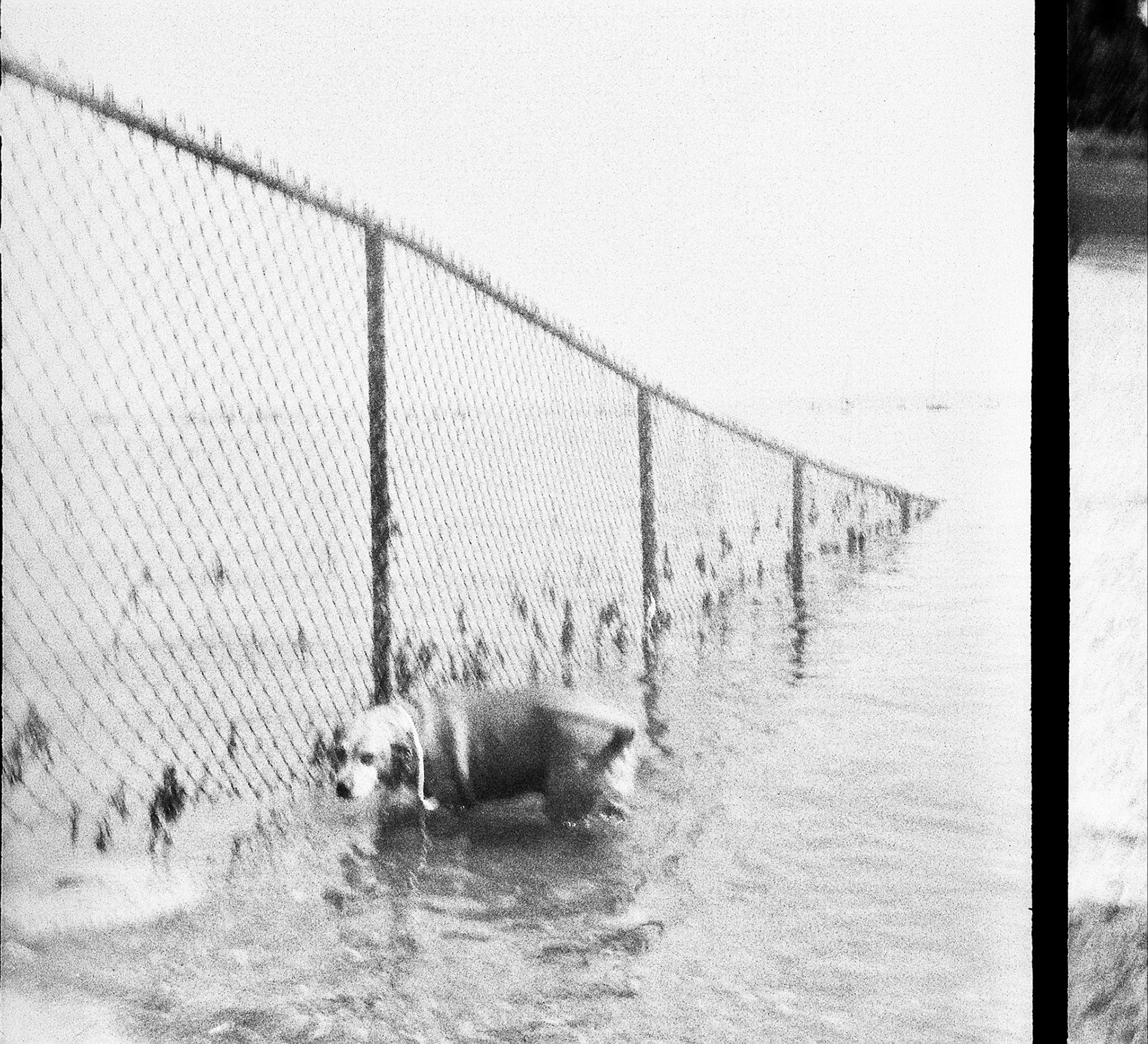 Autosave-File vom d-lab2/3 der AgfaPhoto GmbH