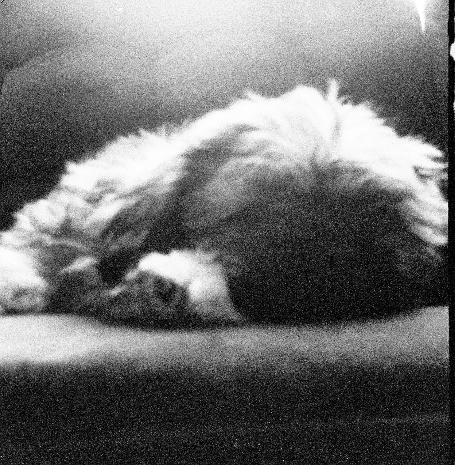 Autosave-File vom d-lab2/3 der AgfaPhoto GmbH