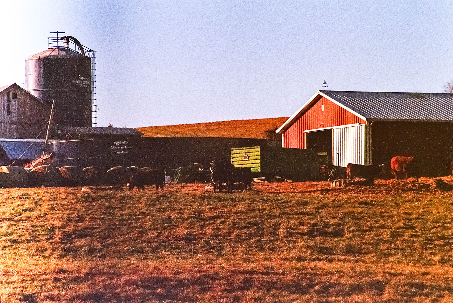 Autosave-File vom d-lab2/3 der AgfaPhoto GmbH