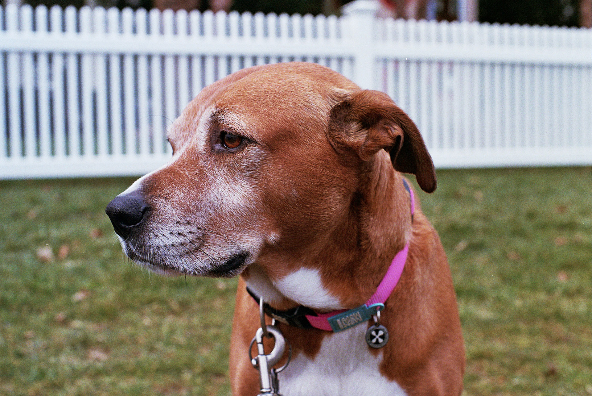 Autosave-File vom d-lab2/3 der AgfaPhoto GmbH