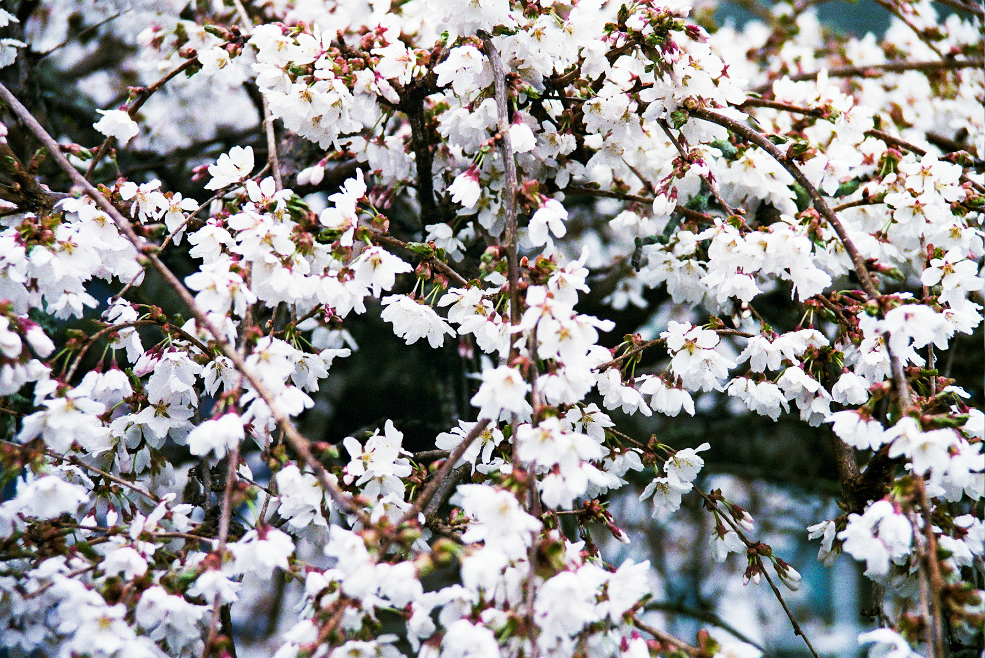 Autosave-File vom d-lab2/3 der AgfaPhoto GmbH