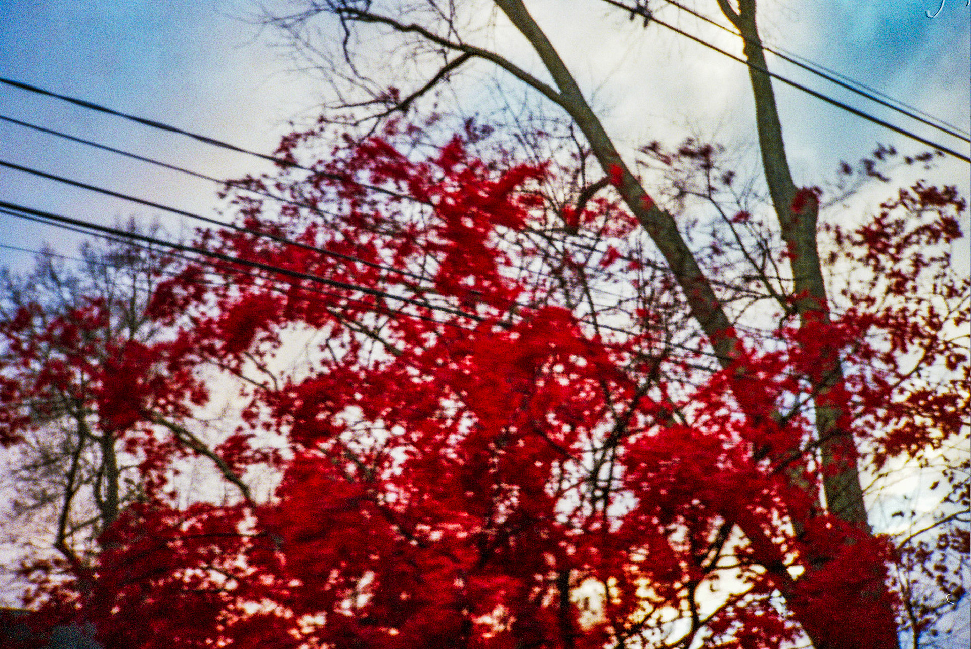 Autosave-File vom d-lab2/3 der AgfaPhoto GmbH