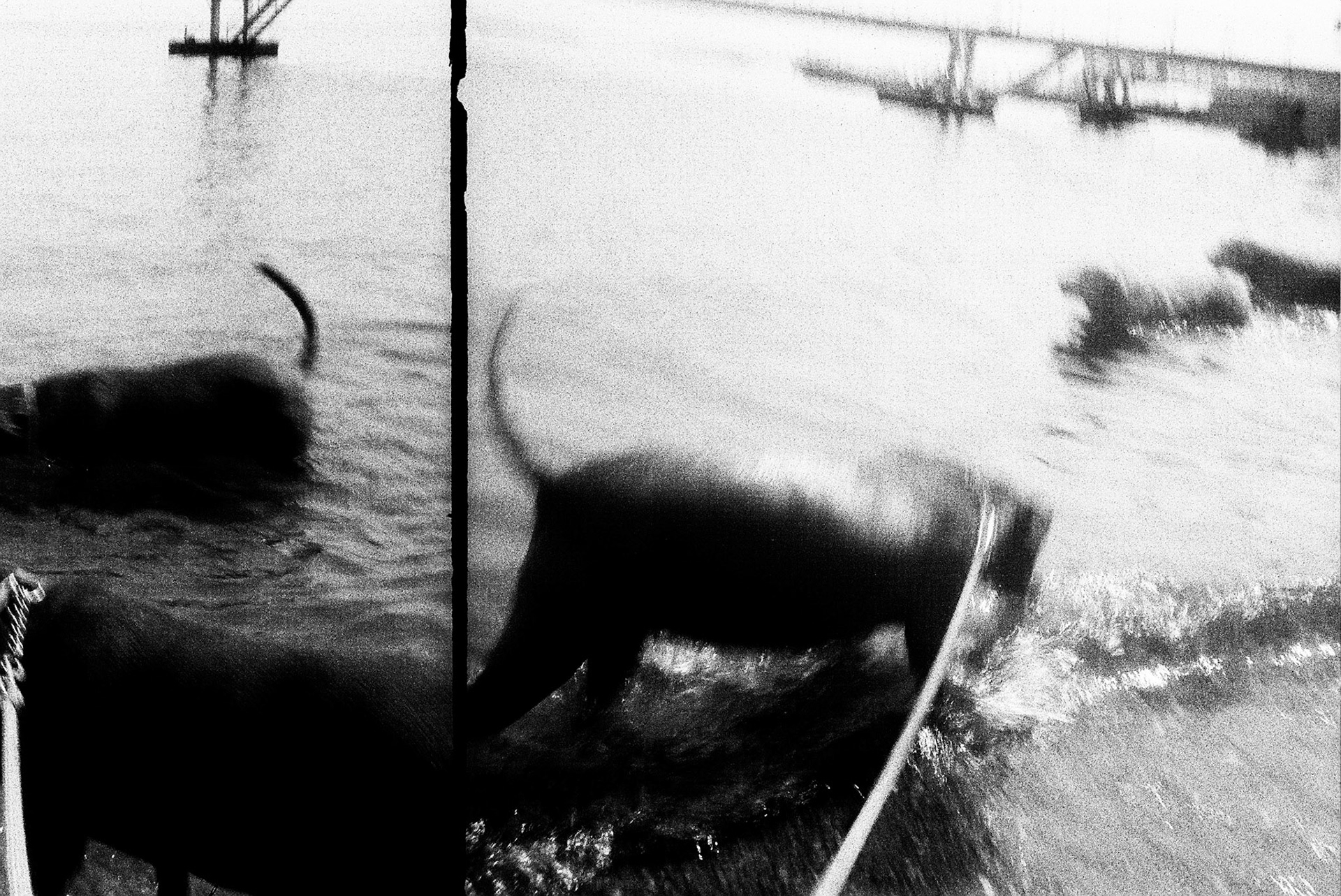 Autosave-File vom d-lab2/3 der AgfaPhoto GmbH