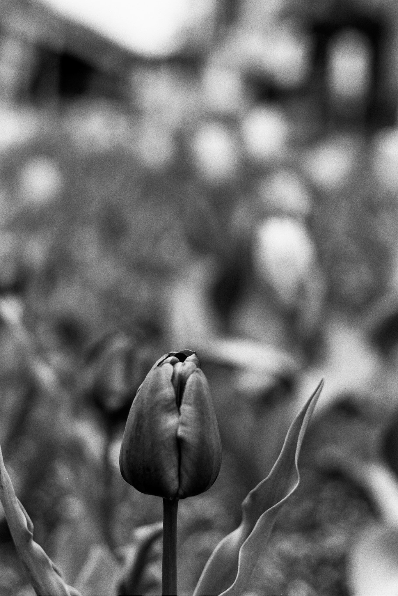 Autosave-File vom d-lab2/3 der AgfaPhoto GmbH