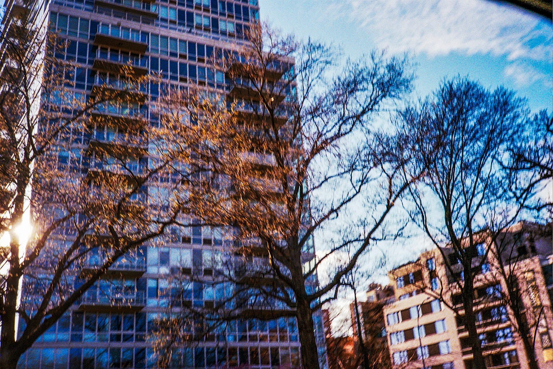 Autosave-File vom d-lab2/3 der AgfaPhoto GmbH