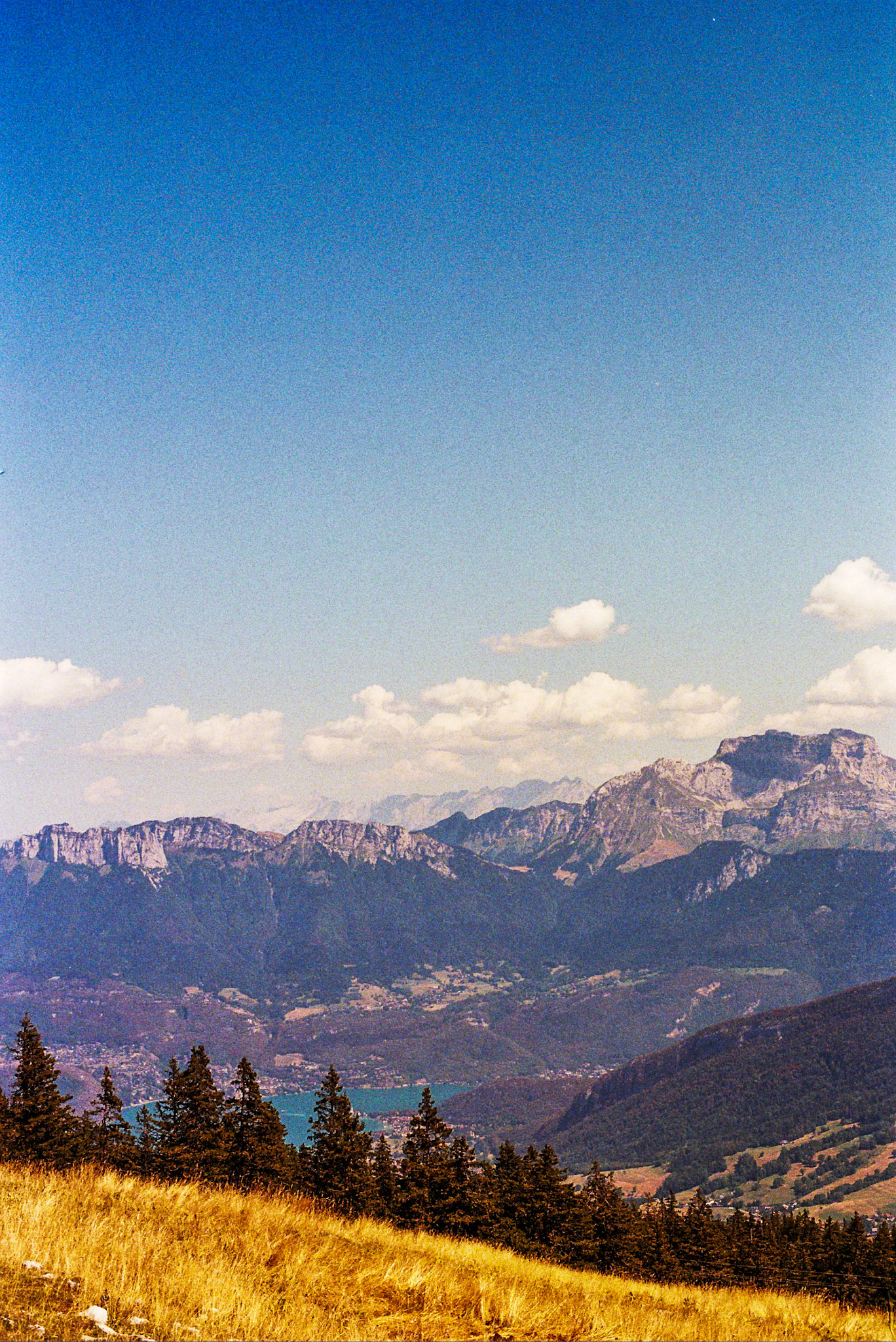 Autosave-File vom d-lab2/3 der AgfaPhoto GmbH