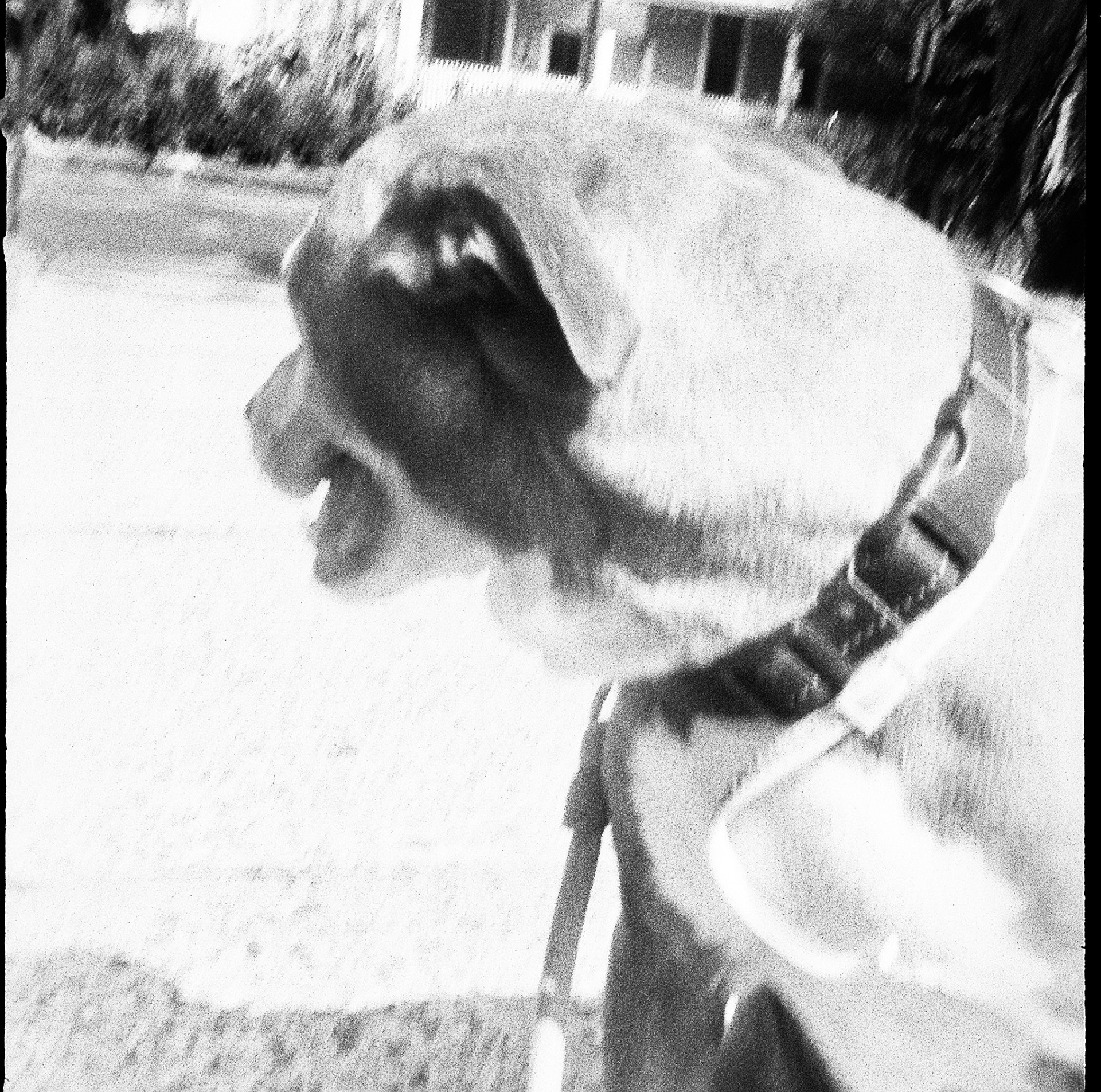 Autosave-File vom d-lab2/3 der AgfaPhoto GmbH