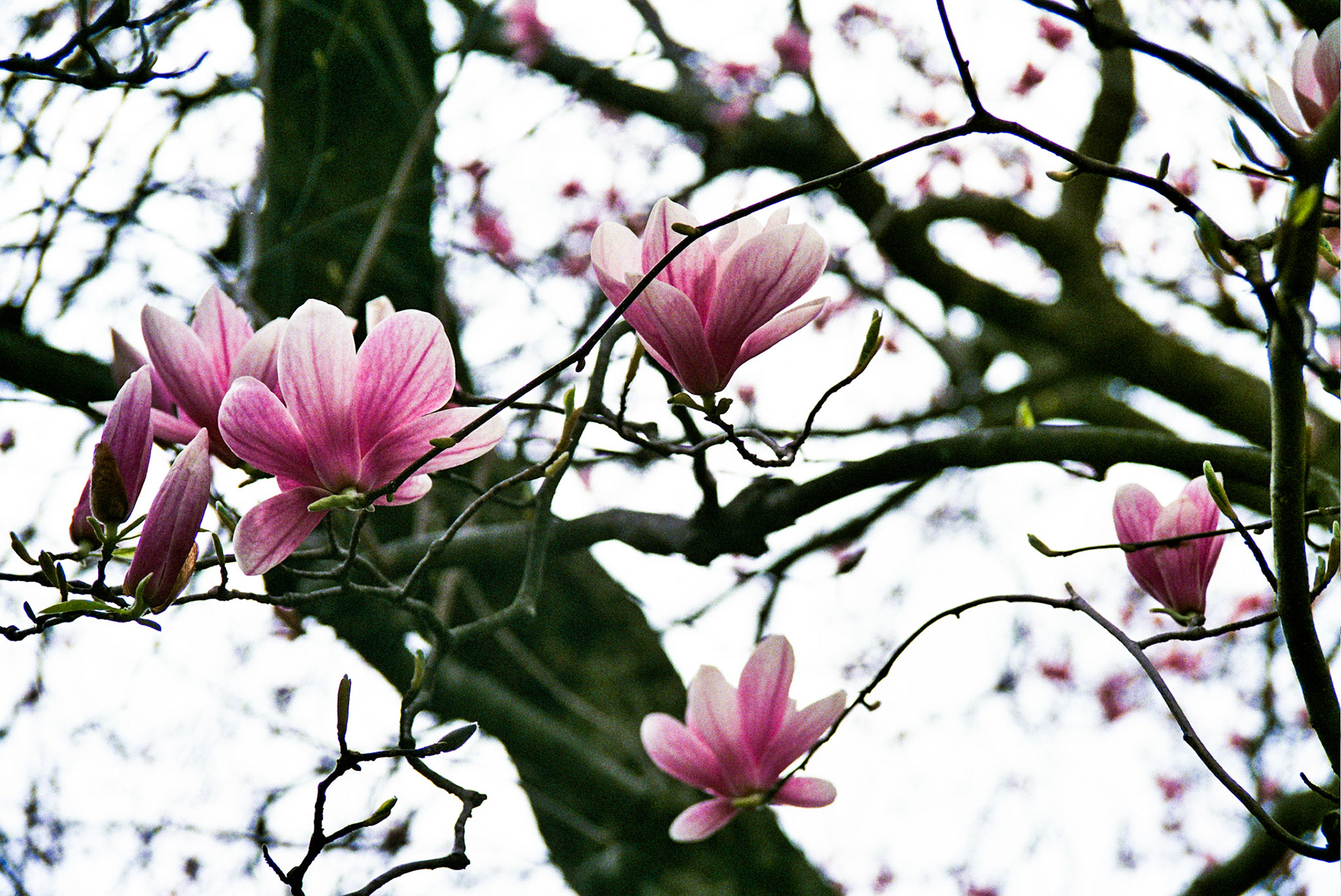 Autosave-File vom d-lab2/3 der AgfaPhoto GmbH