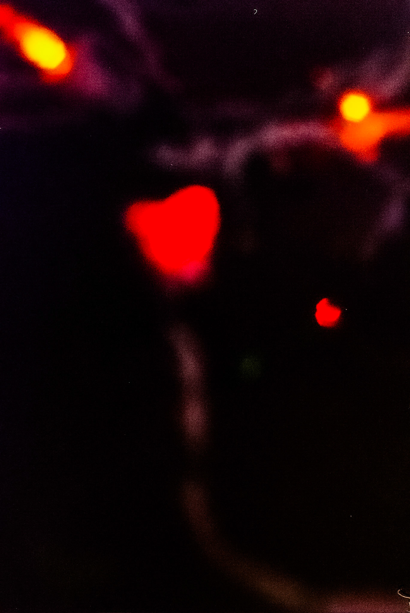 Autosave-File vom d-lab2/3 der AgfaPhoto GmbH