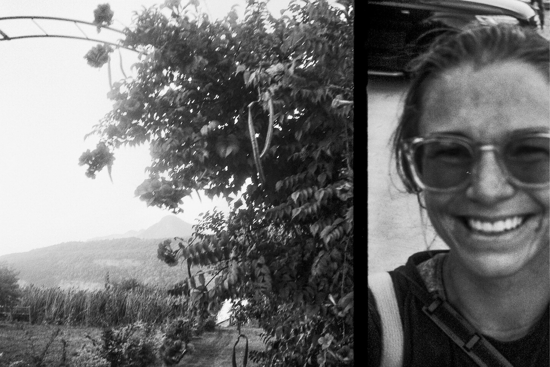 Autosave-File vom d-lab2/3 der AgfaPhoto GmbH