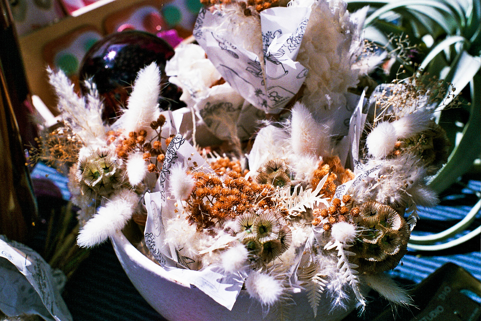 Autosave-File vom d-lab2/3 der AgfaPhoto GmbH