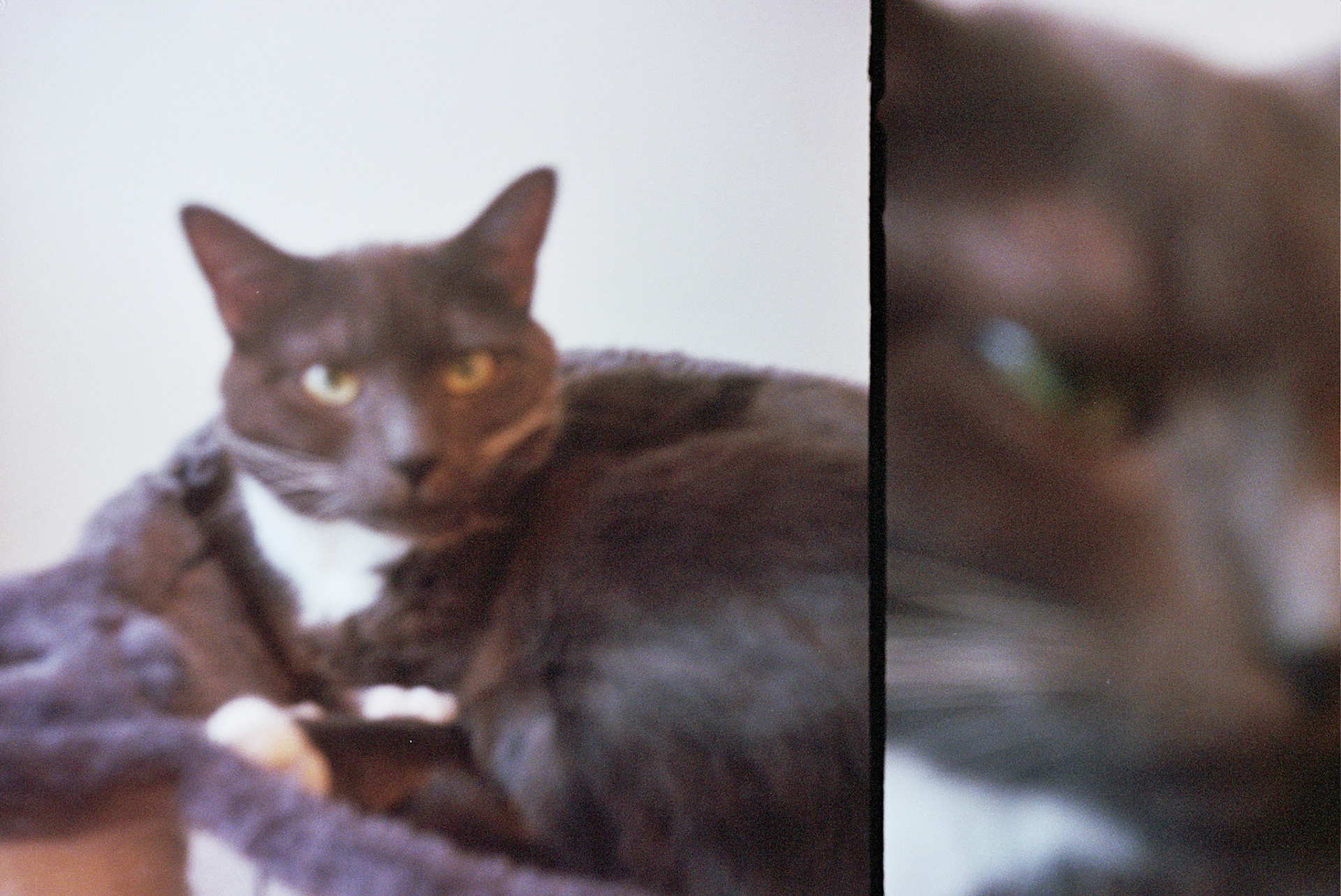 Autosave-File vom d-lab2/3 der AgfaPhoto GmbH