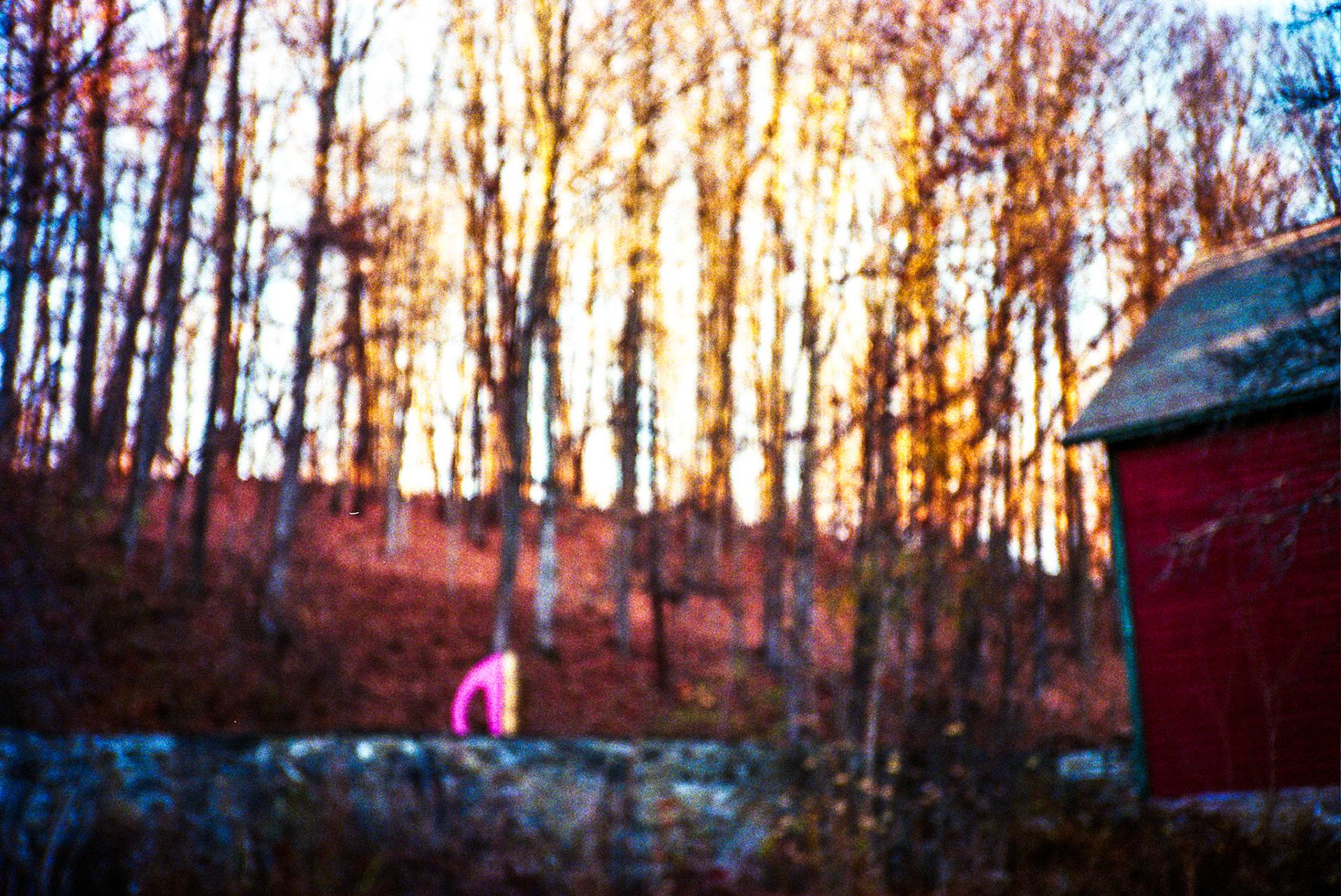 Autosave-File vom d-lab2/3 der AgfaPhoto GmbH