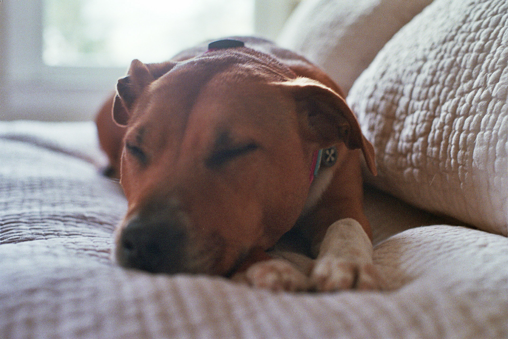 Autosave-File vom d-lab2/3 der AgfaPhoto GmbH