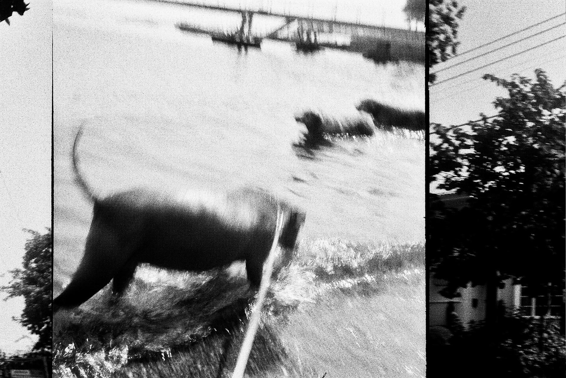 Autosave-File vom d-lab2/3 der AgfaPhoto GmbH