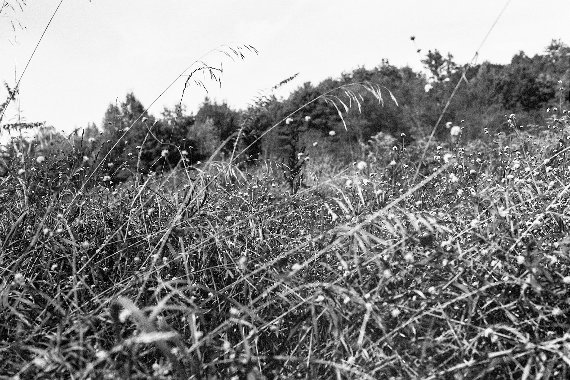 Autosave-File vom d-lab2/3 der AgfaPhoto GmbH