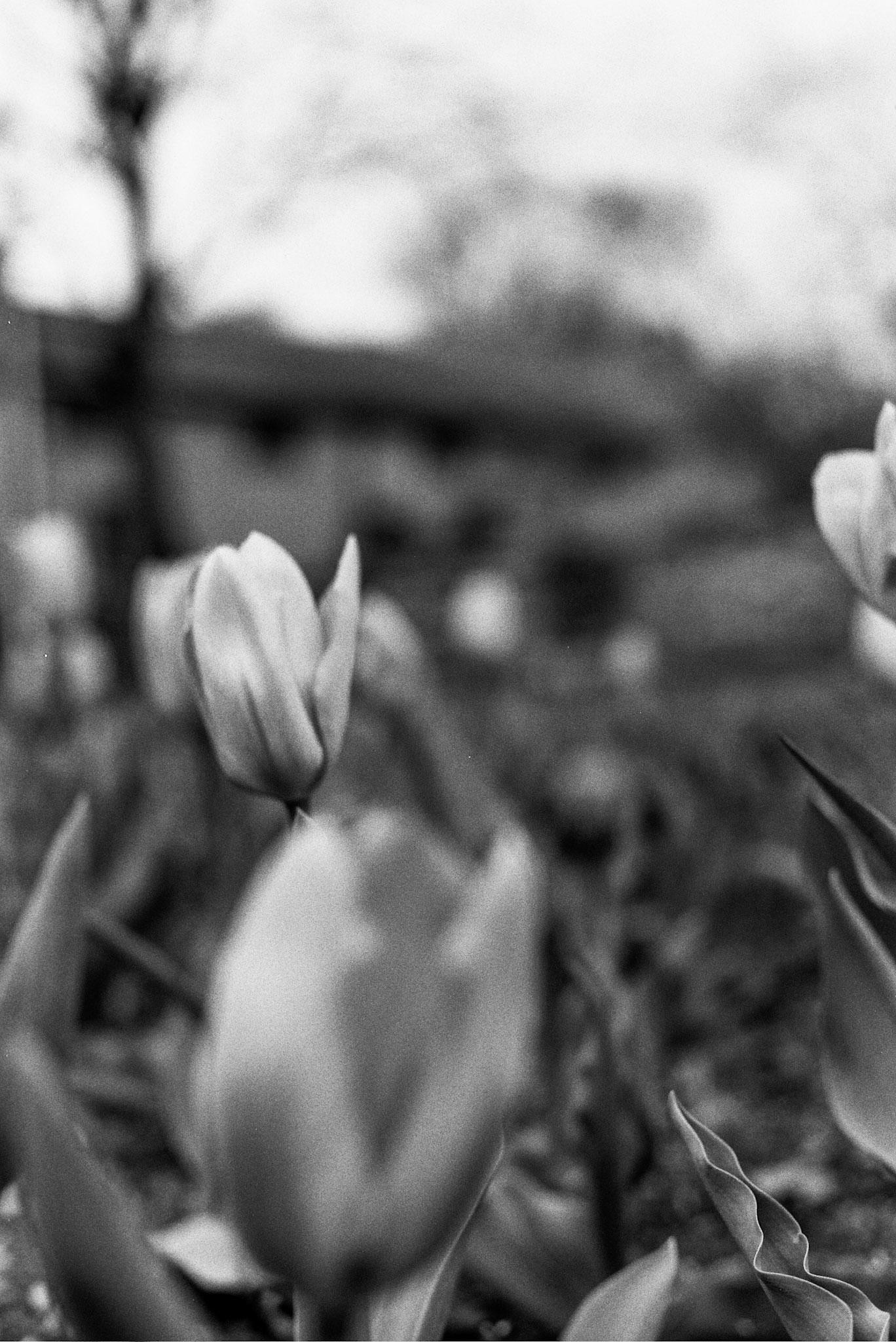 Autosave-File vom d-lab2/3 der AgfaPhoto GmbH