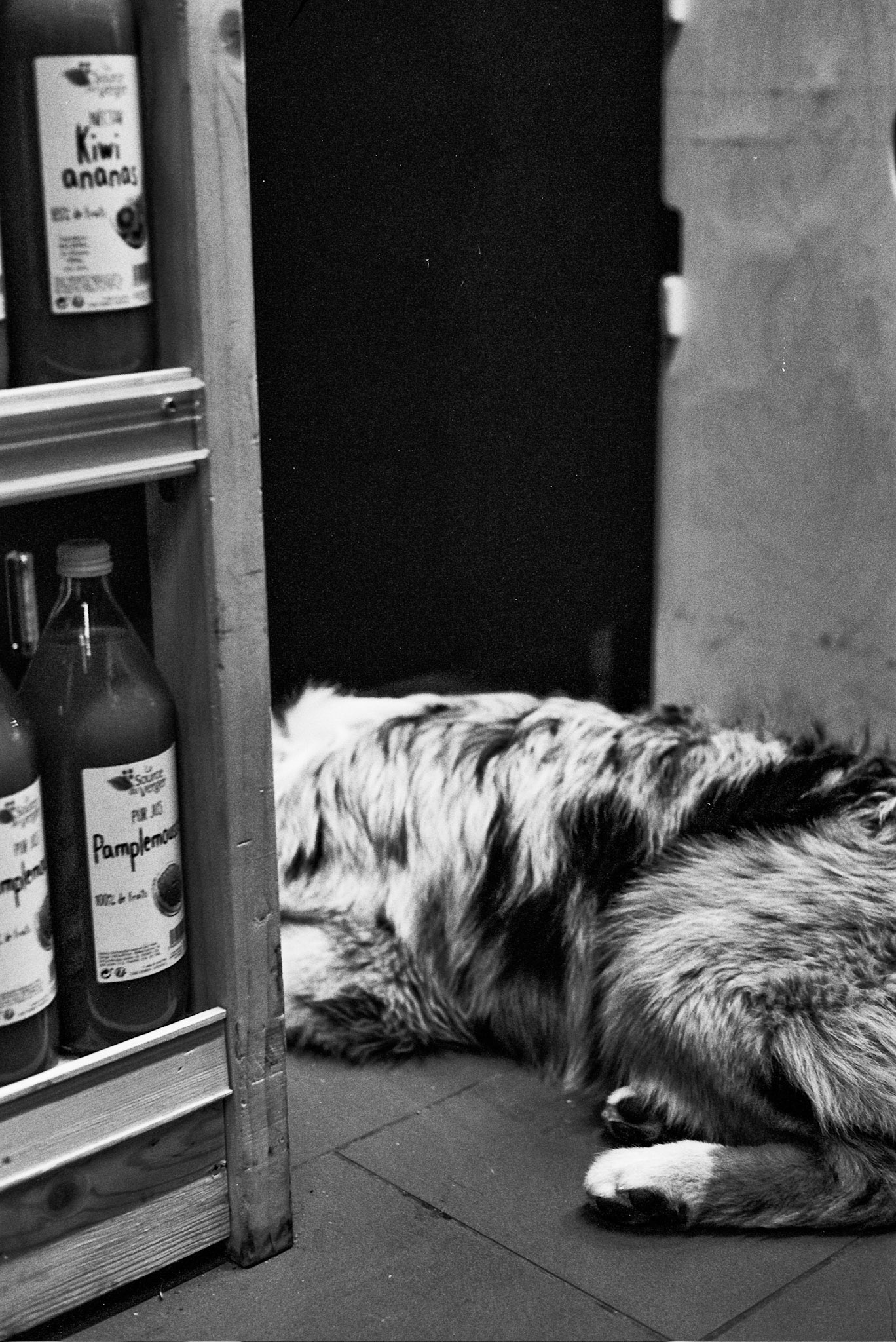 Autosave-File vom d-lab2/3 der AgfaPhoto GmbH